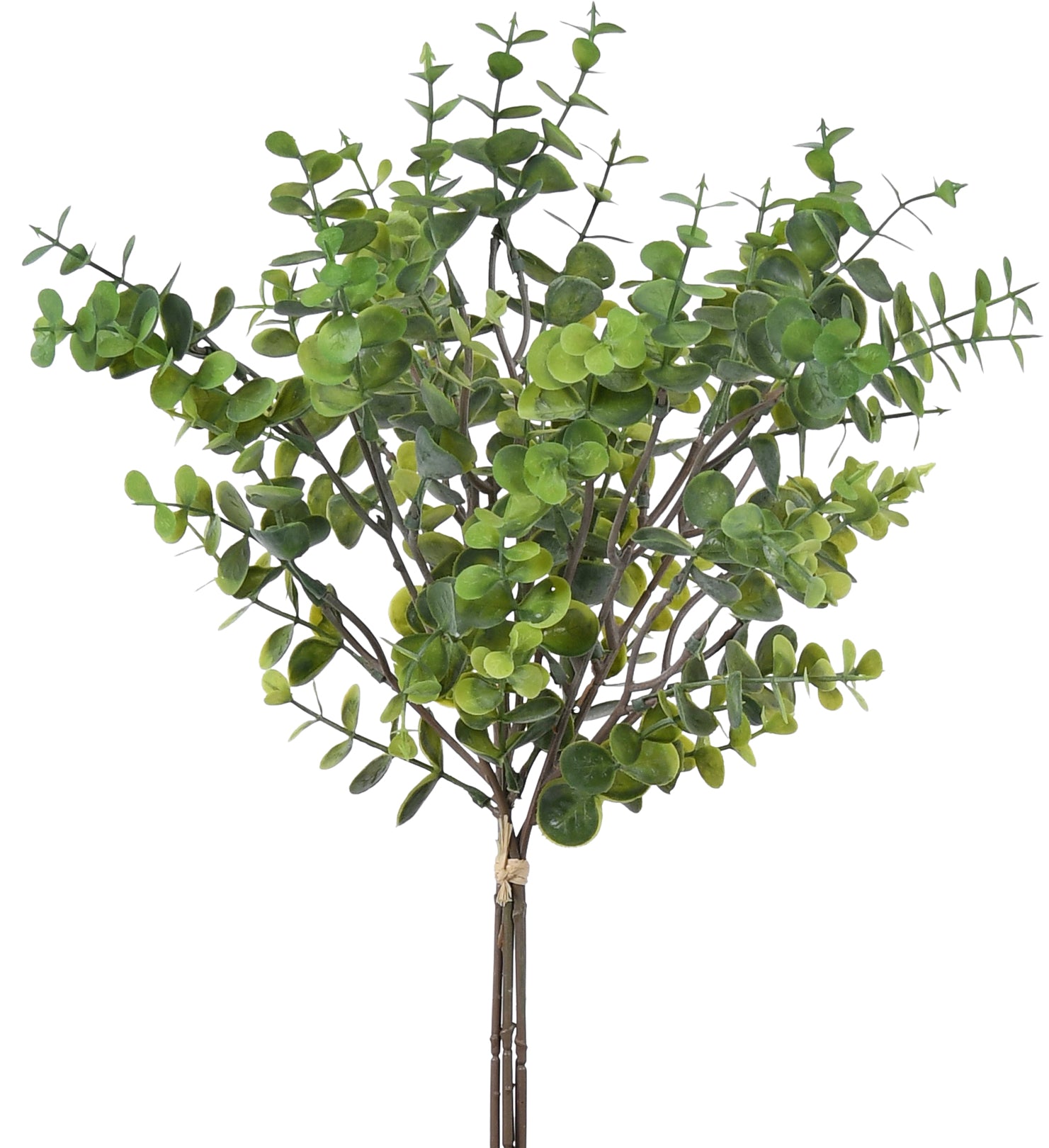 Bunch  of leaves. 38 cm