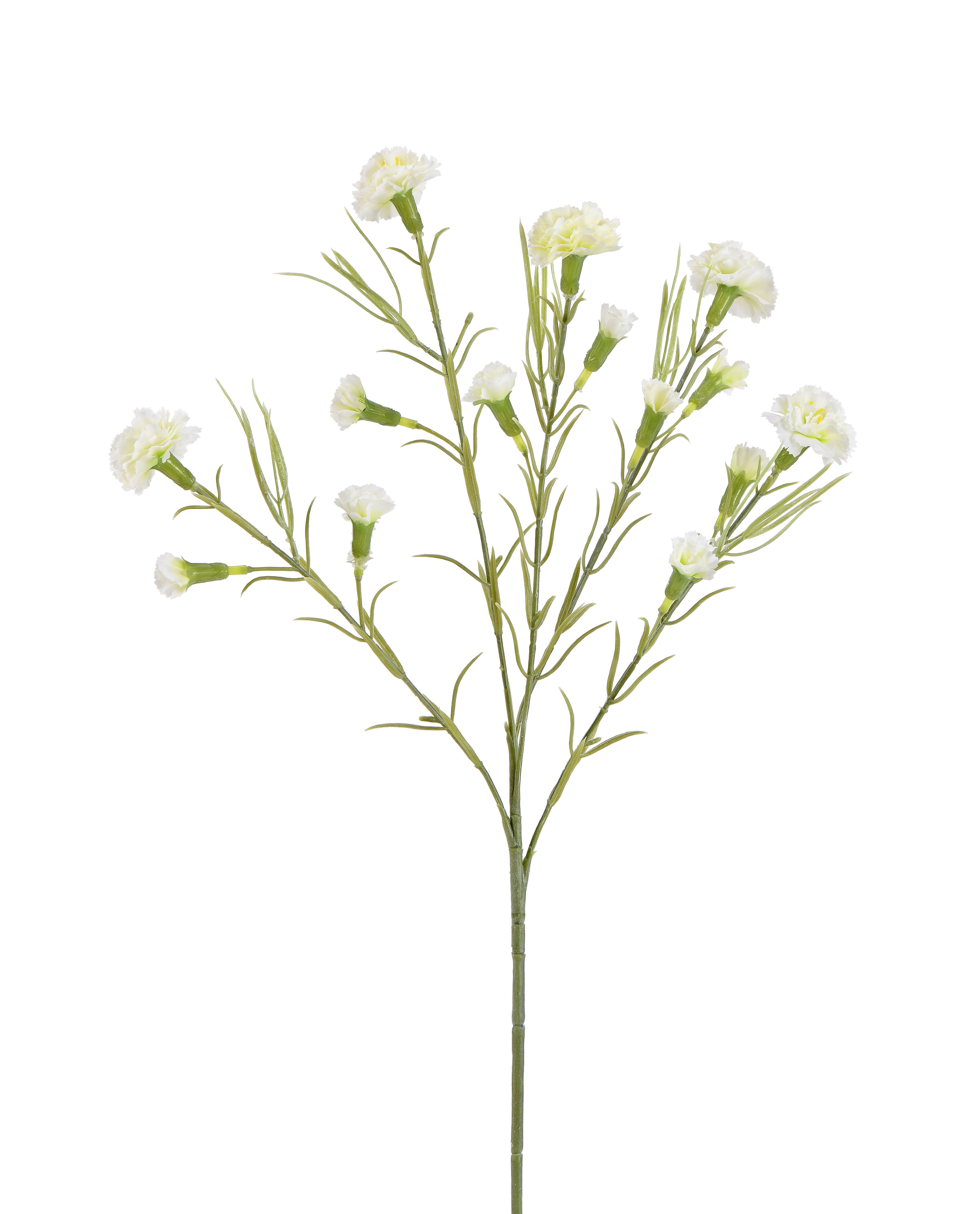Carnation. 63 cm