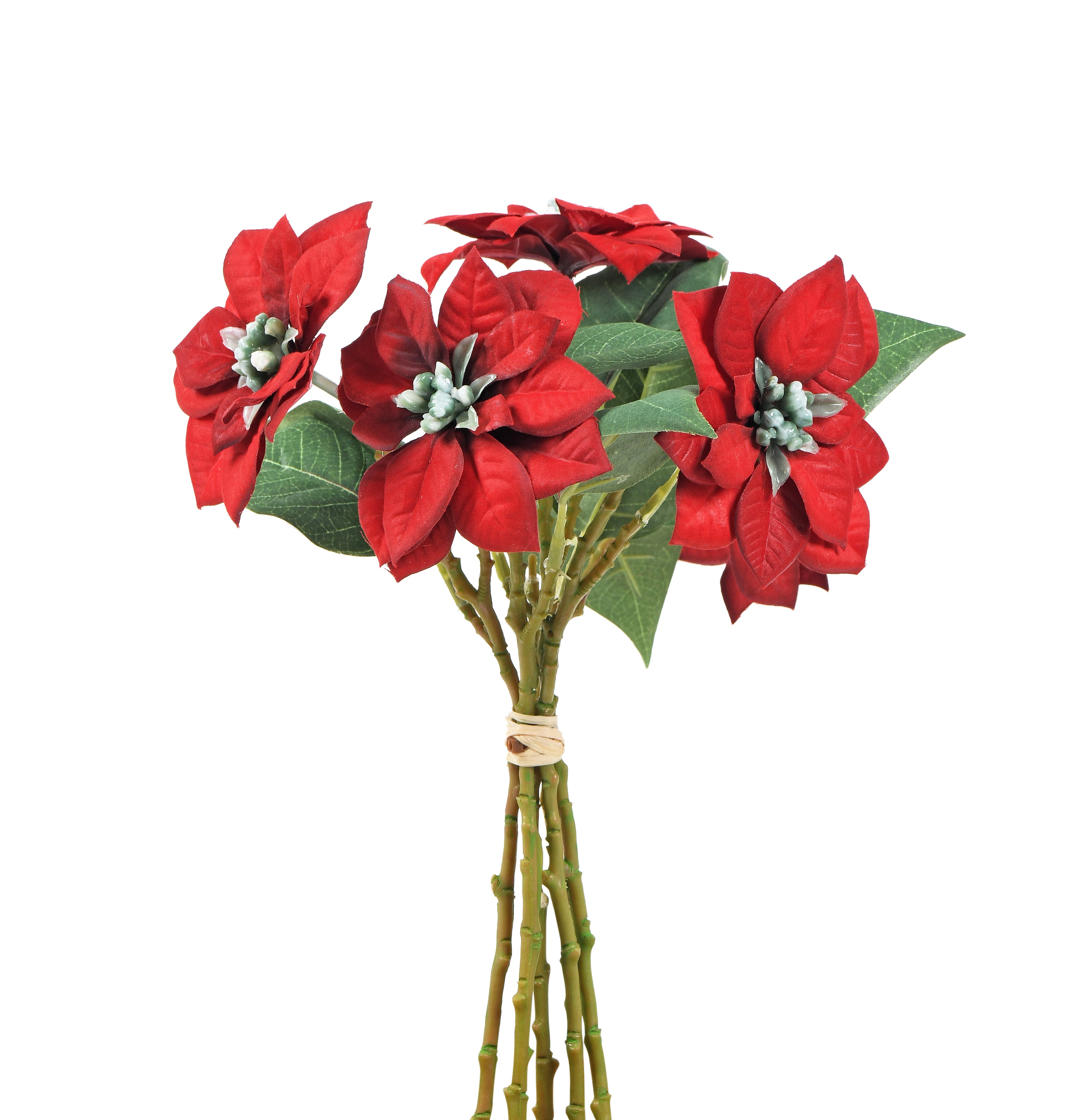 Bouquet of Poinsettia. 30 cm