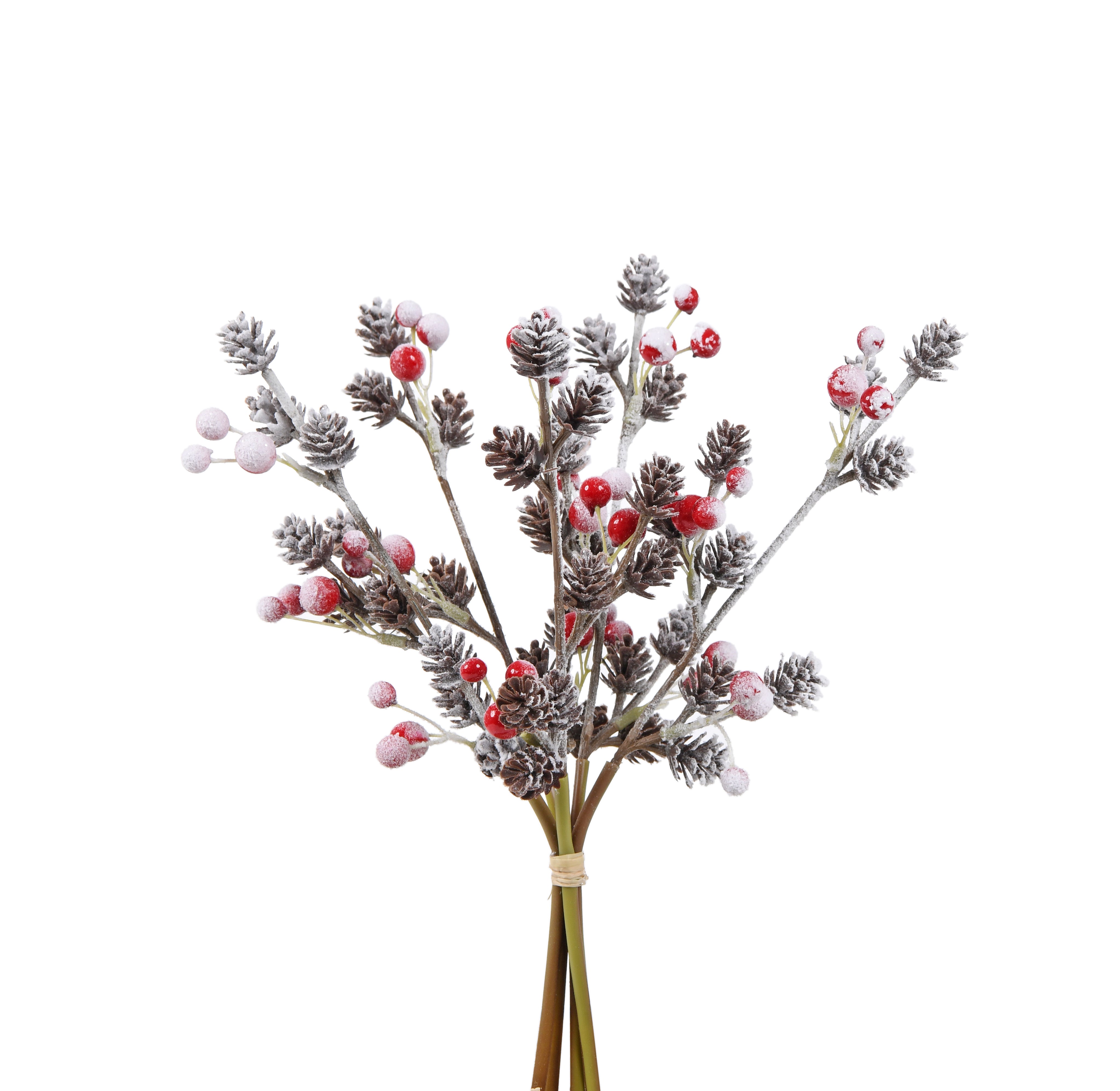 Bunch of Berries with Cone