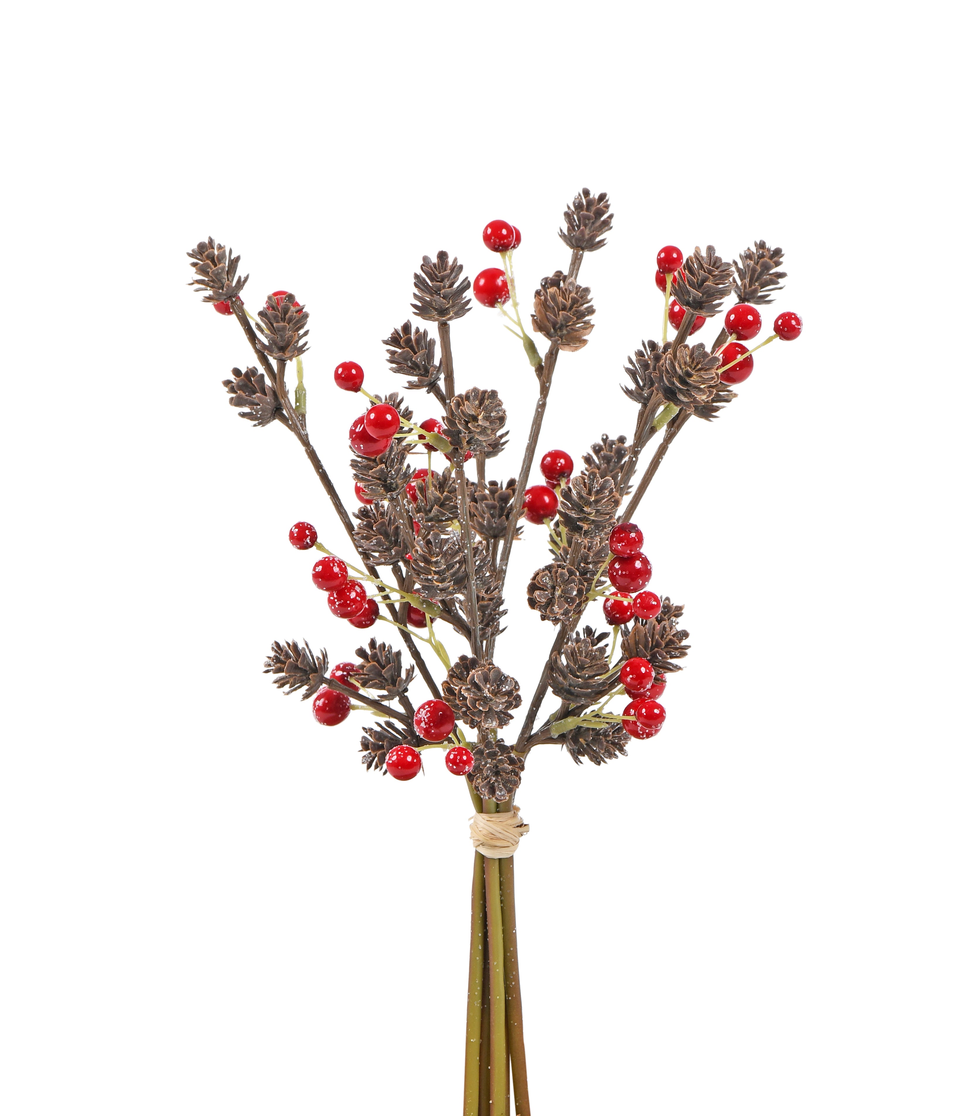 Bunch of Berries with Cone