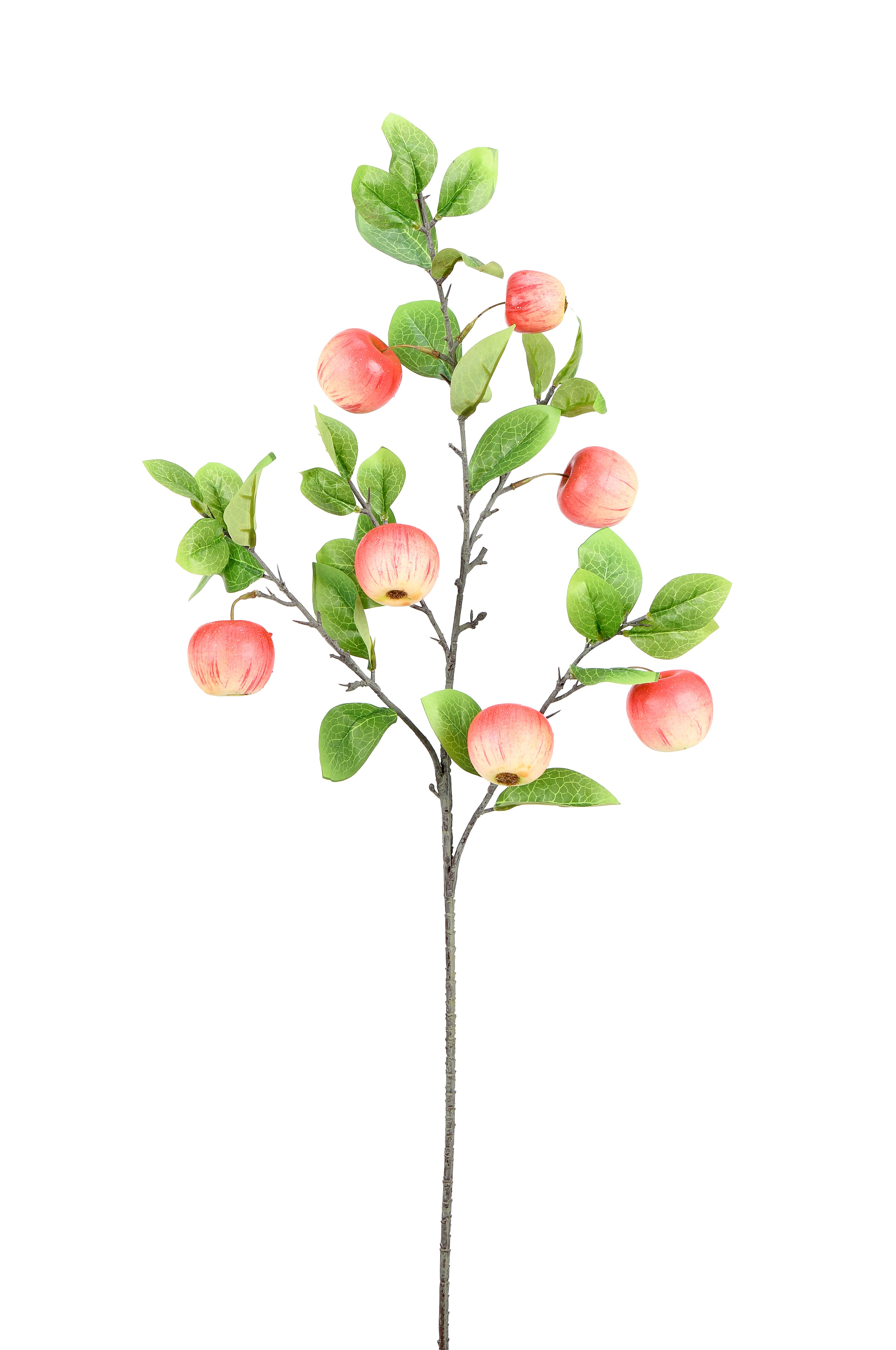 Apple Branche. 88 cm