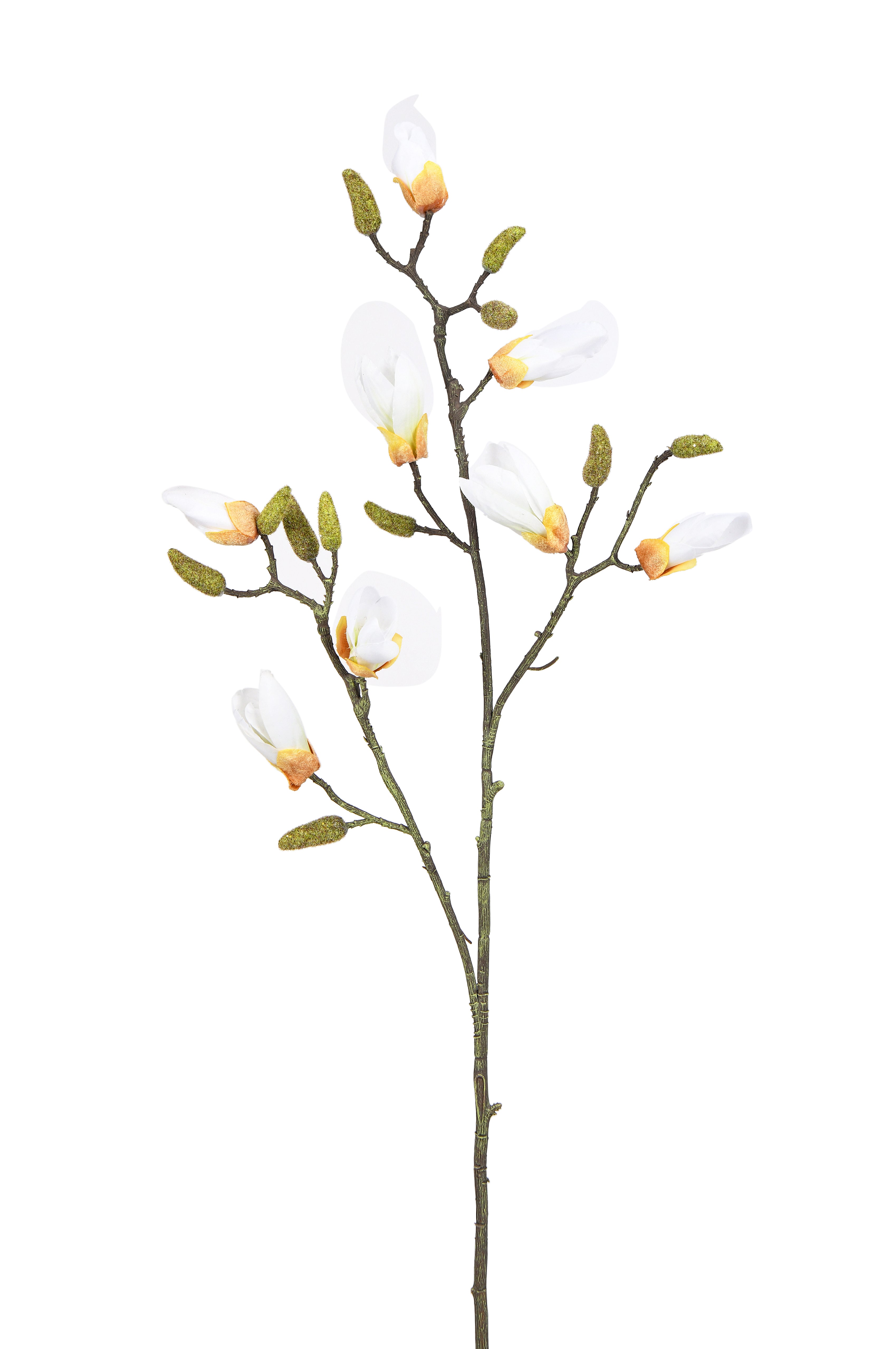 Magnolia bud stem. 93 cm