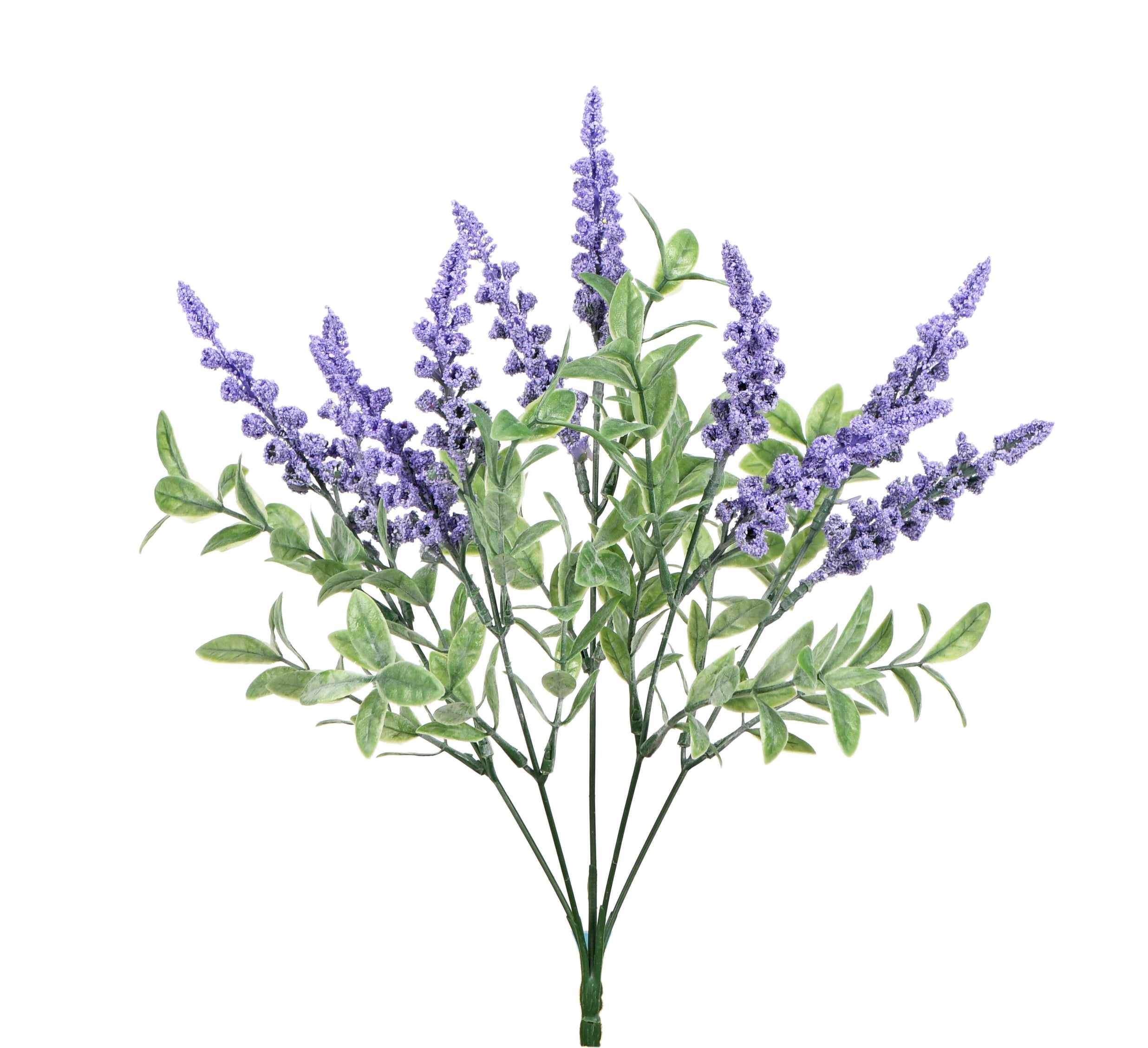 Bunch of Lavender. 36 cm