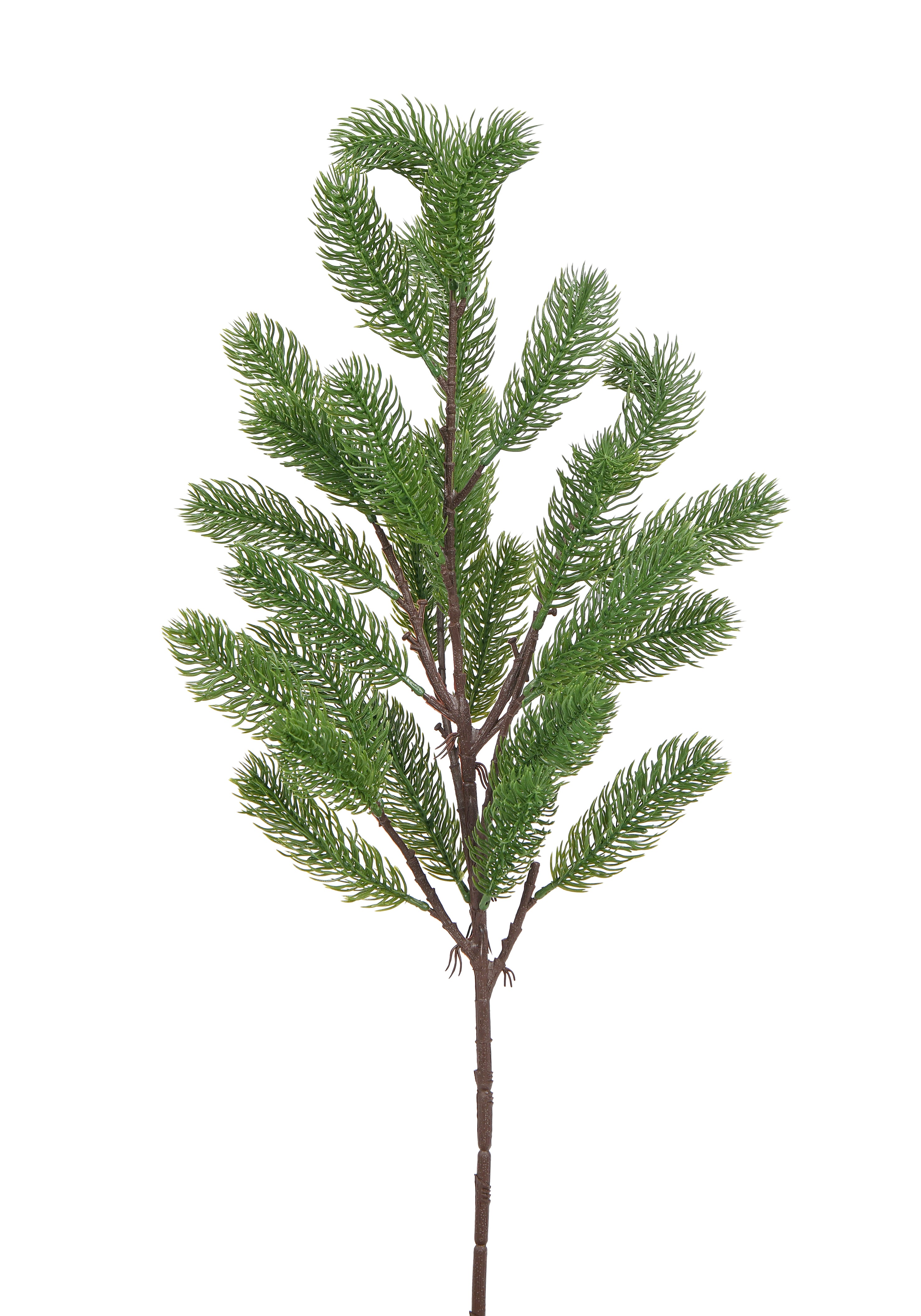 Fir Branch. 68 cm