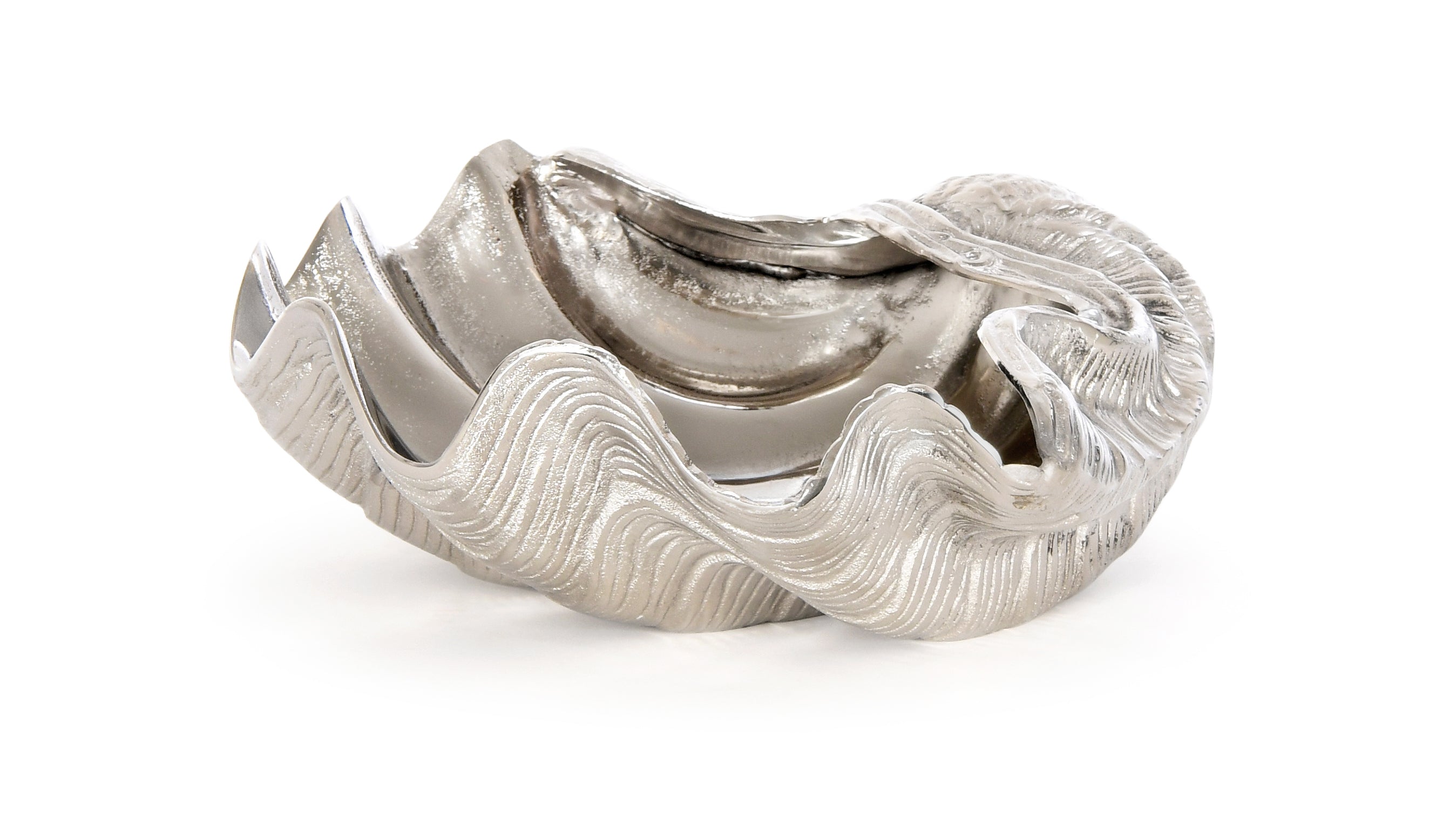 Shell Décor Bowl