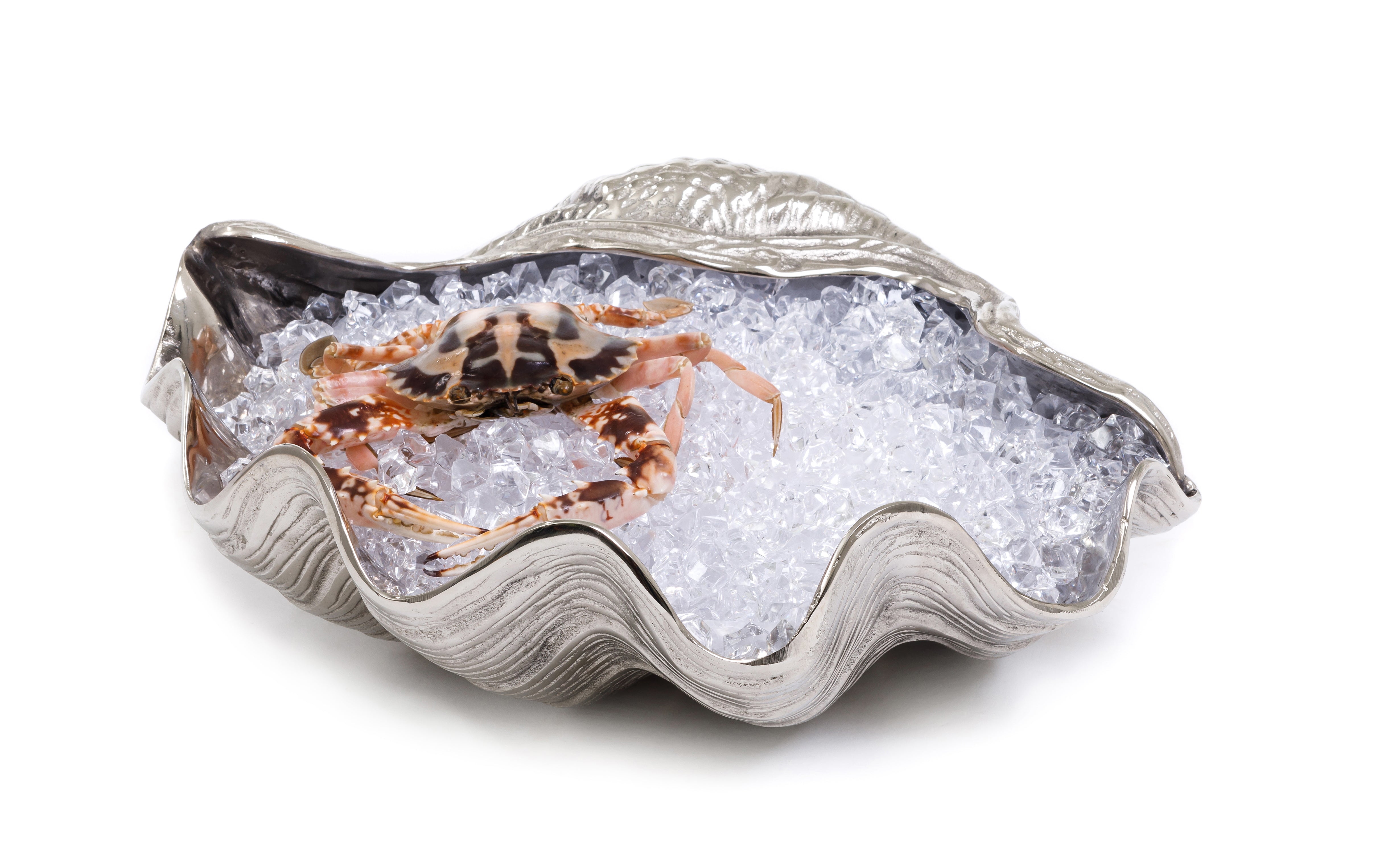 Shell Décor Bowl