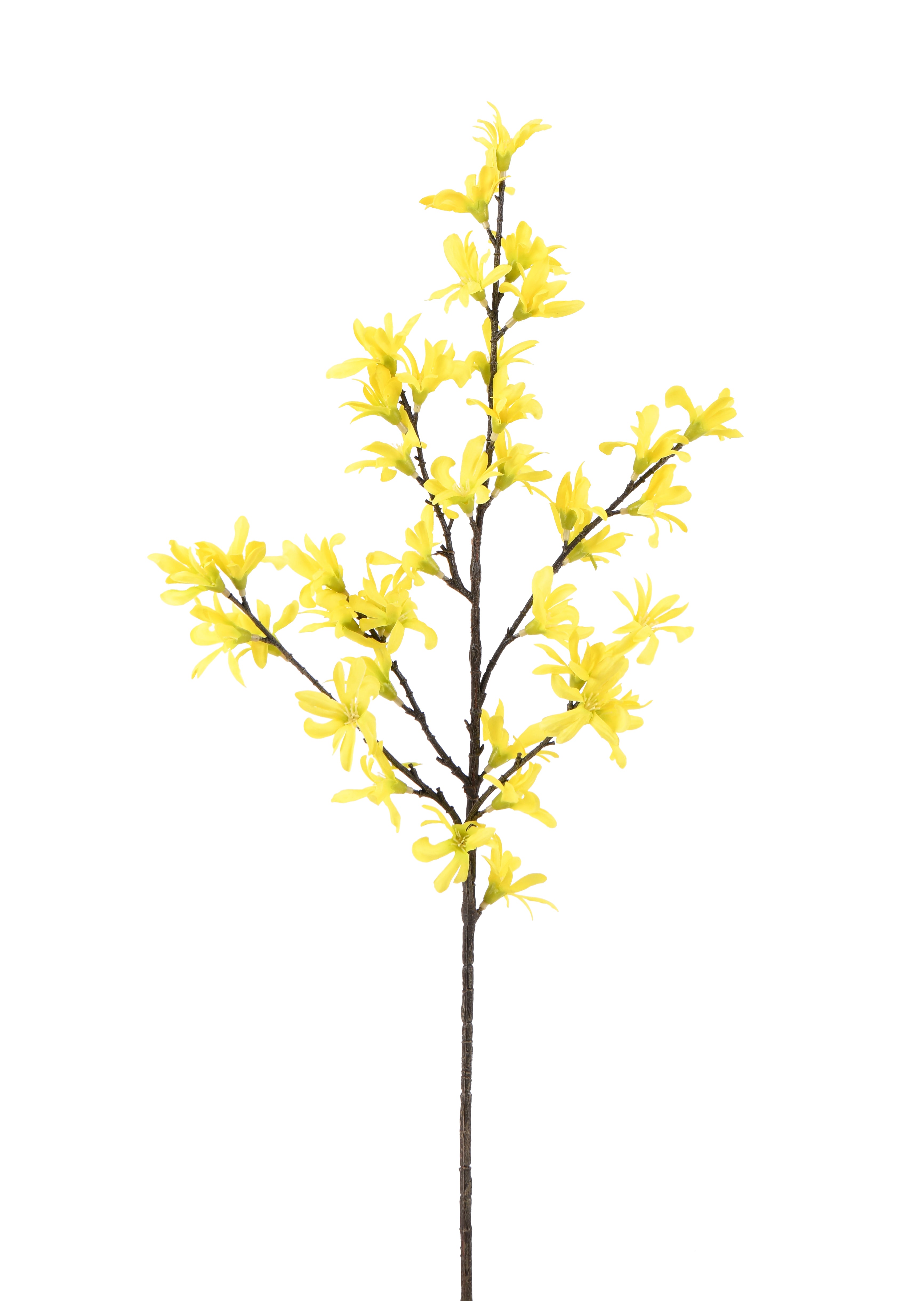 Forsythia Branch. 83 cm