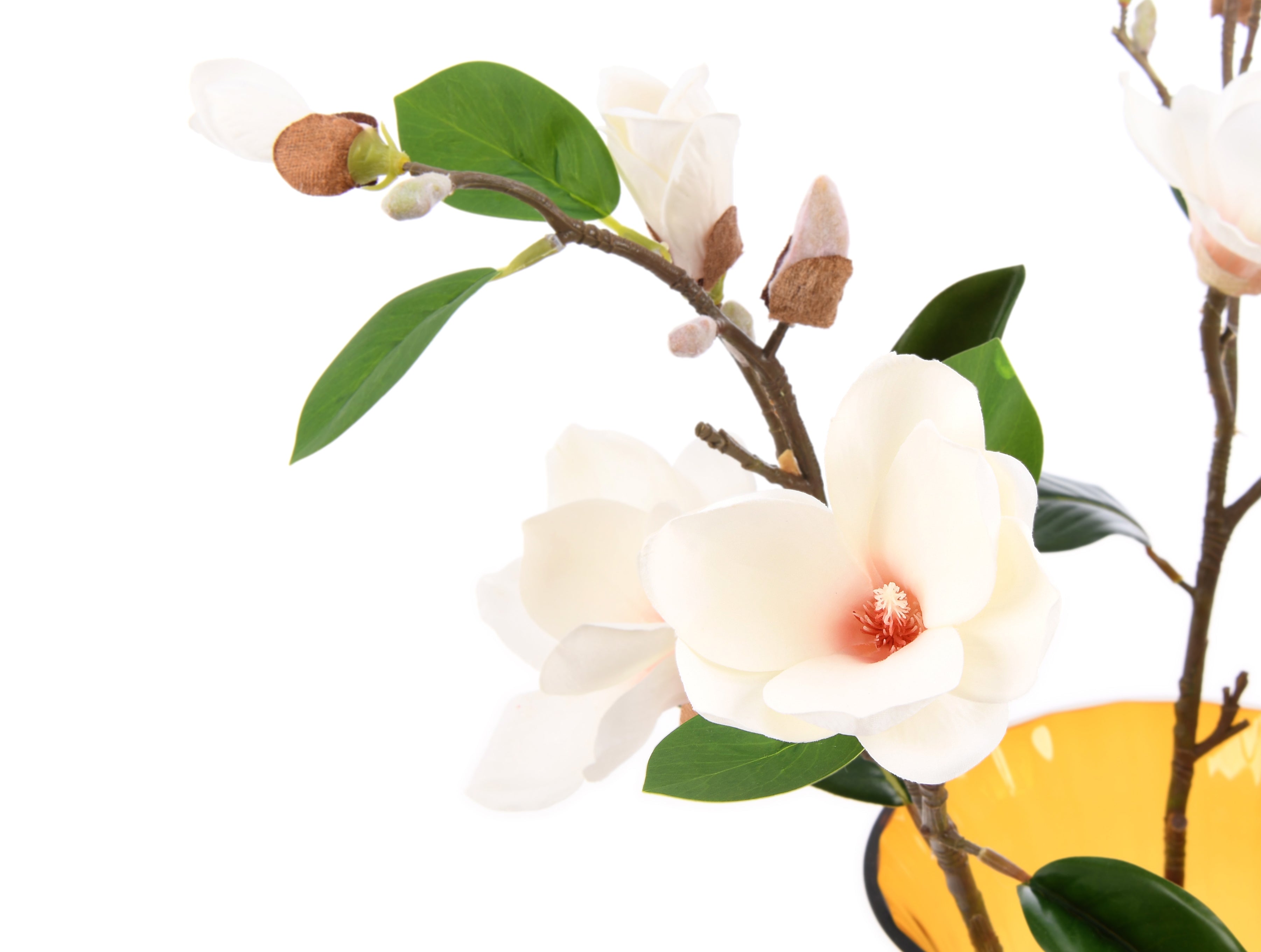 Michelia. Flowers & Buds. 83 cm