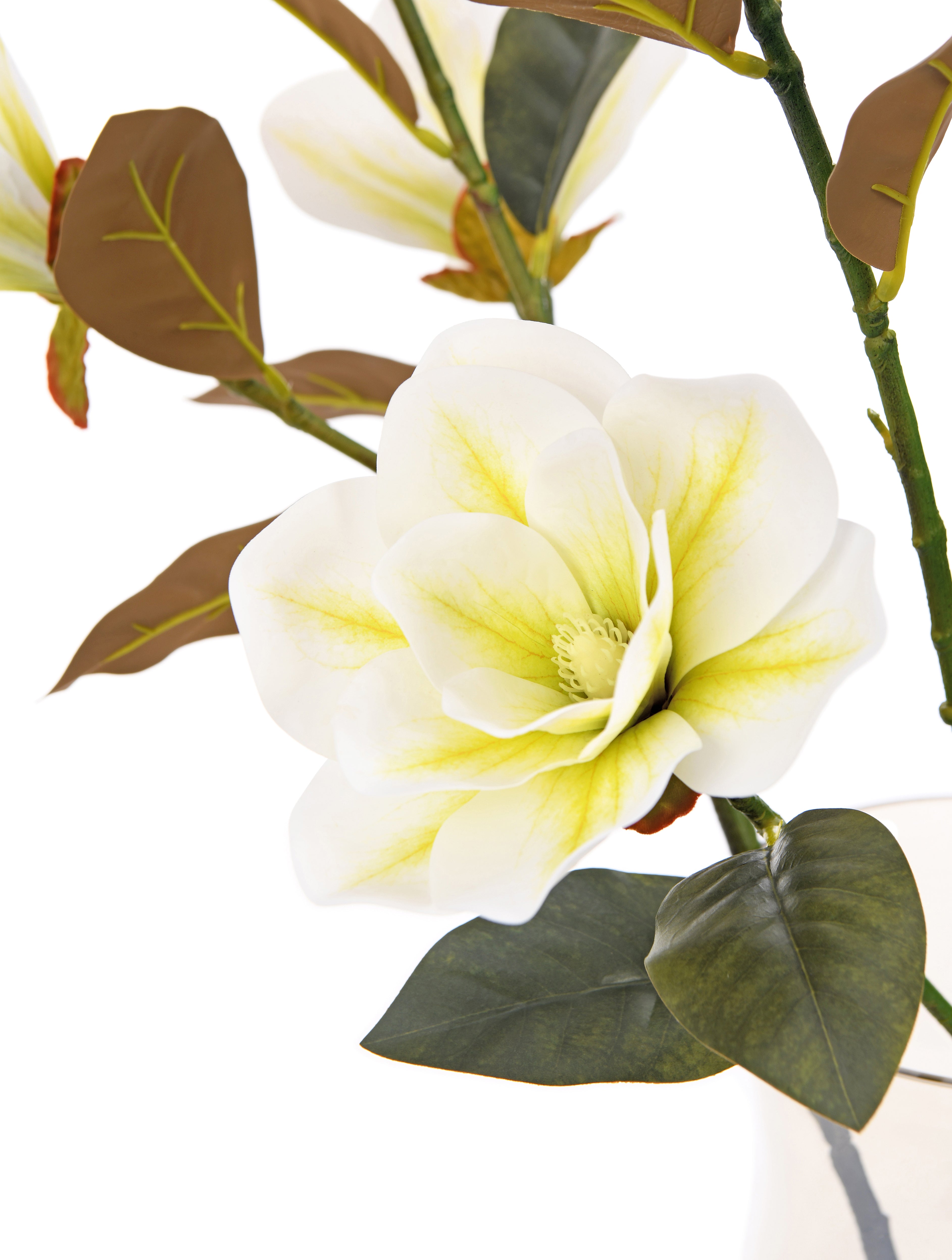 Magnolia Stem. 3 Flowers. 81 cm