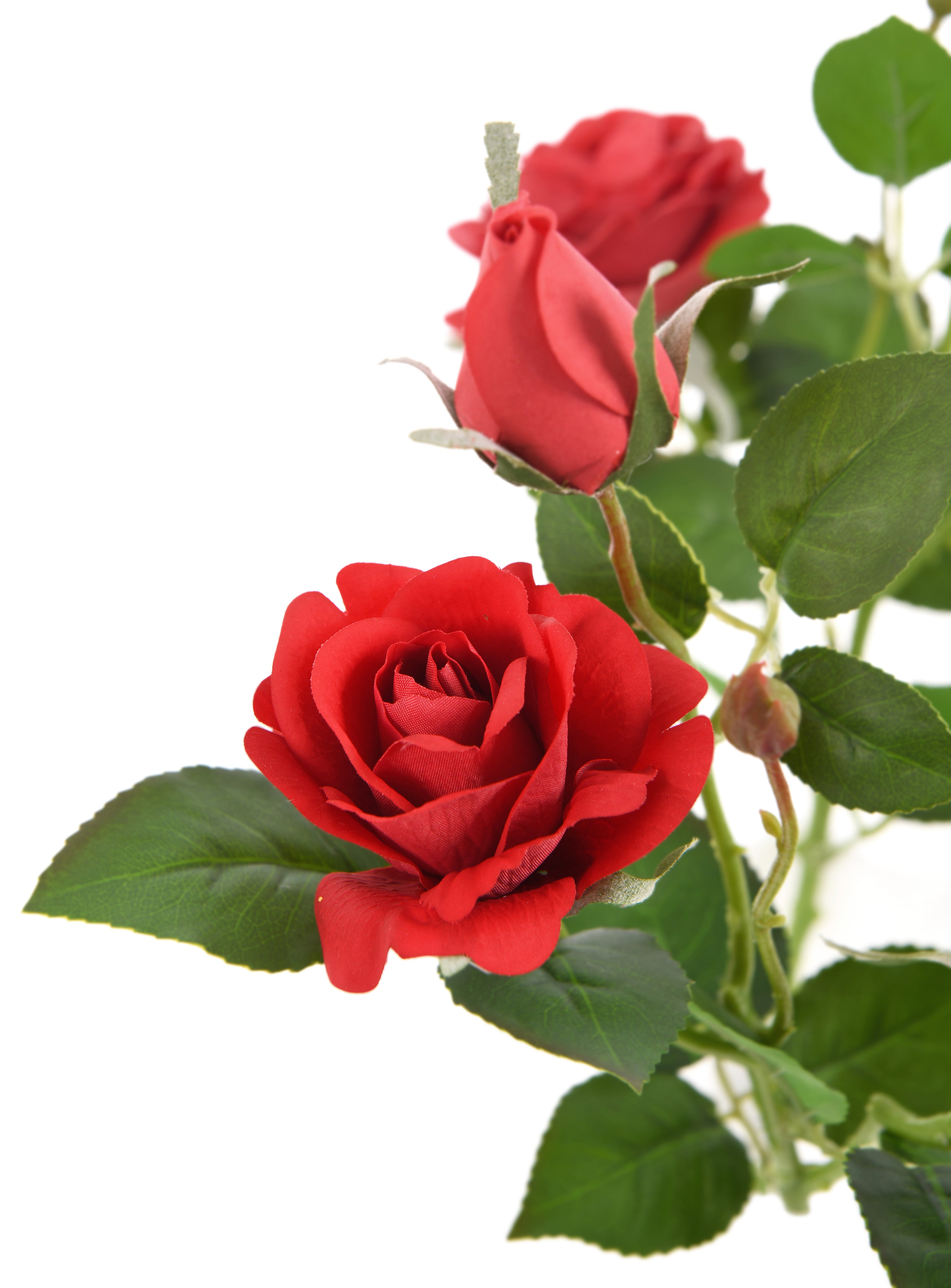 Rose. Real Touch. 54 cm