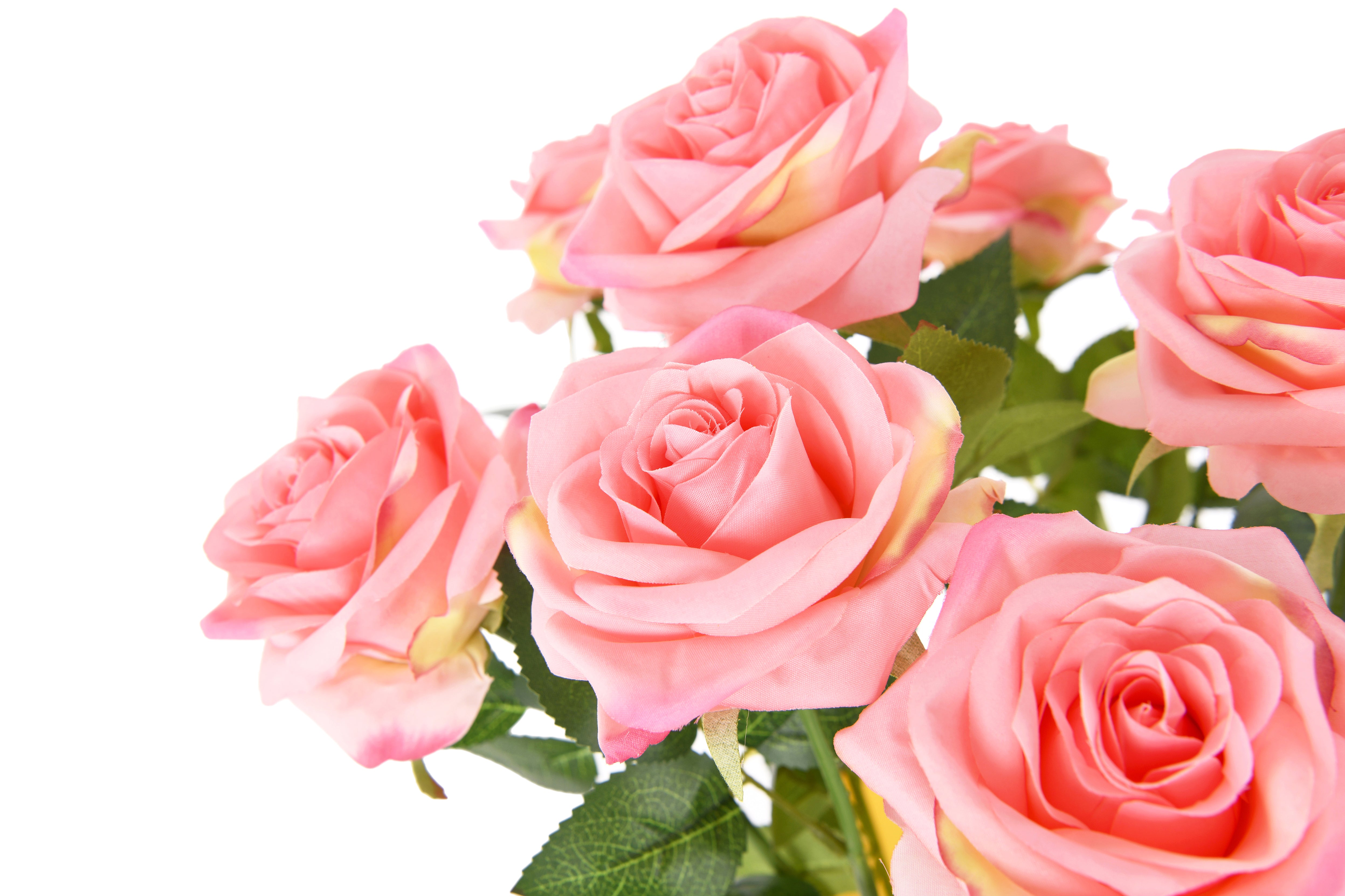 Rose single head. 60 cm