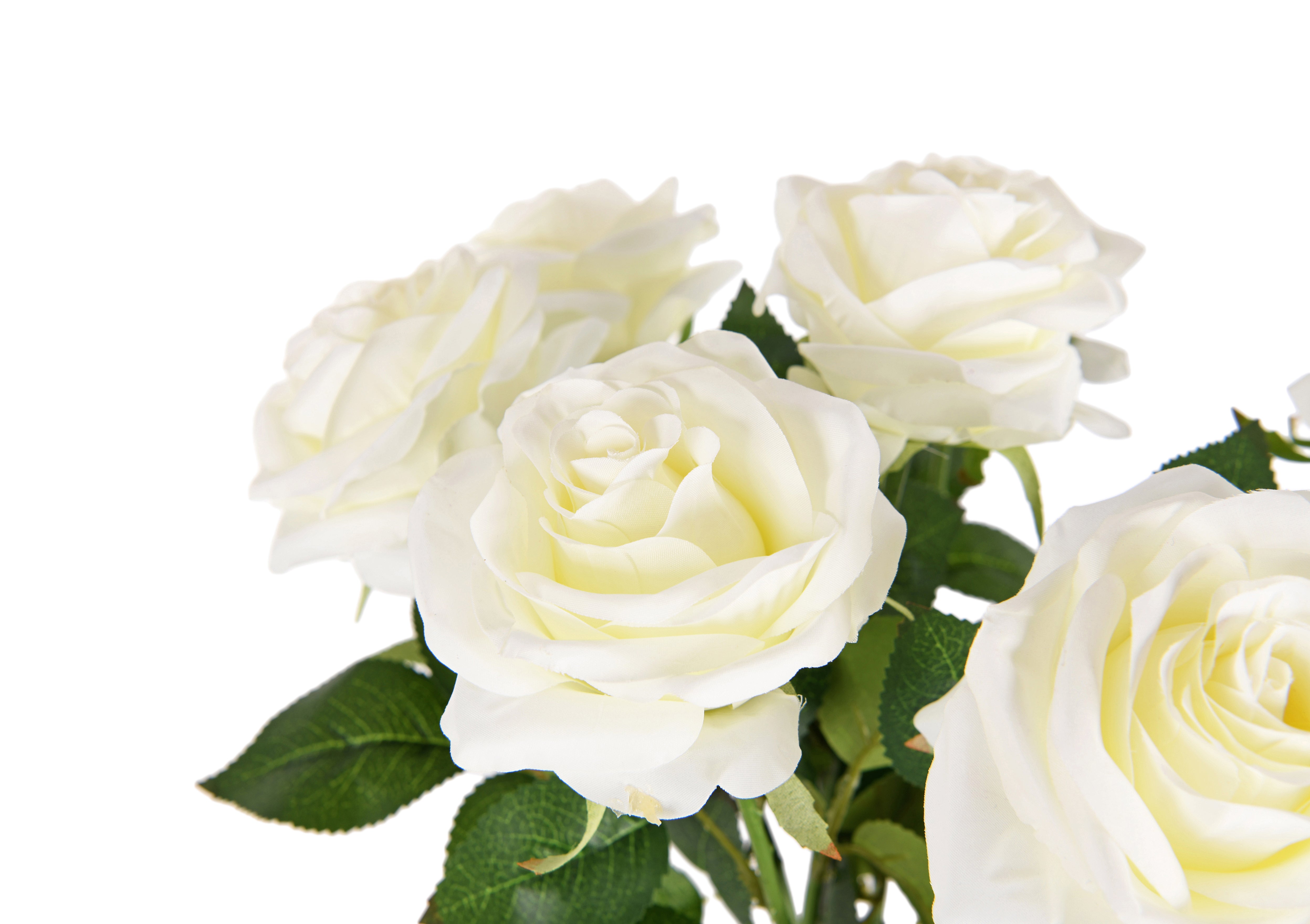 Rose single head. 60 cm