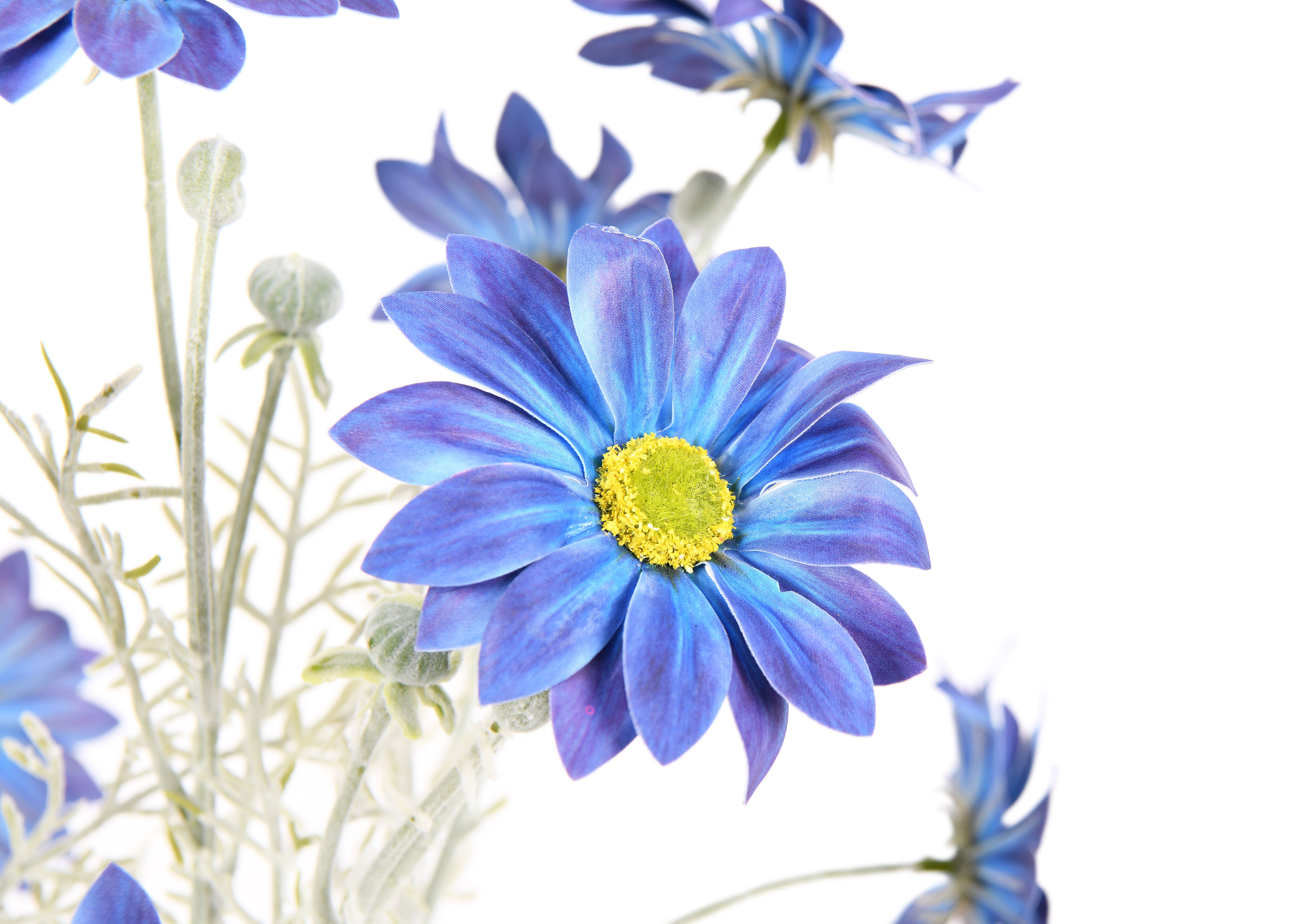 Chamomile. 4 Flowers. 61 cm