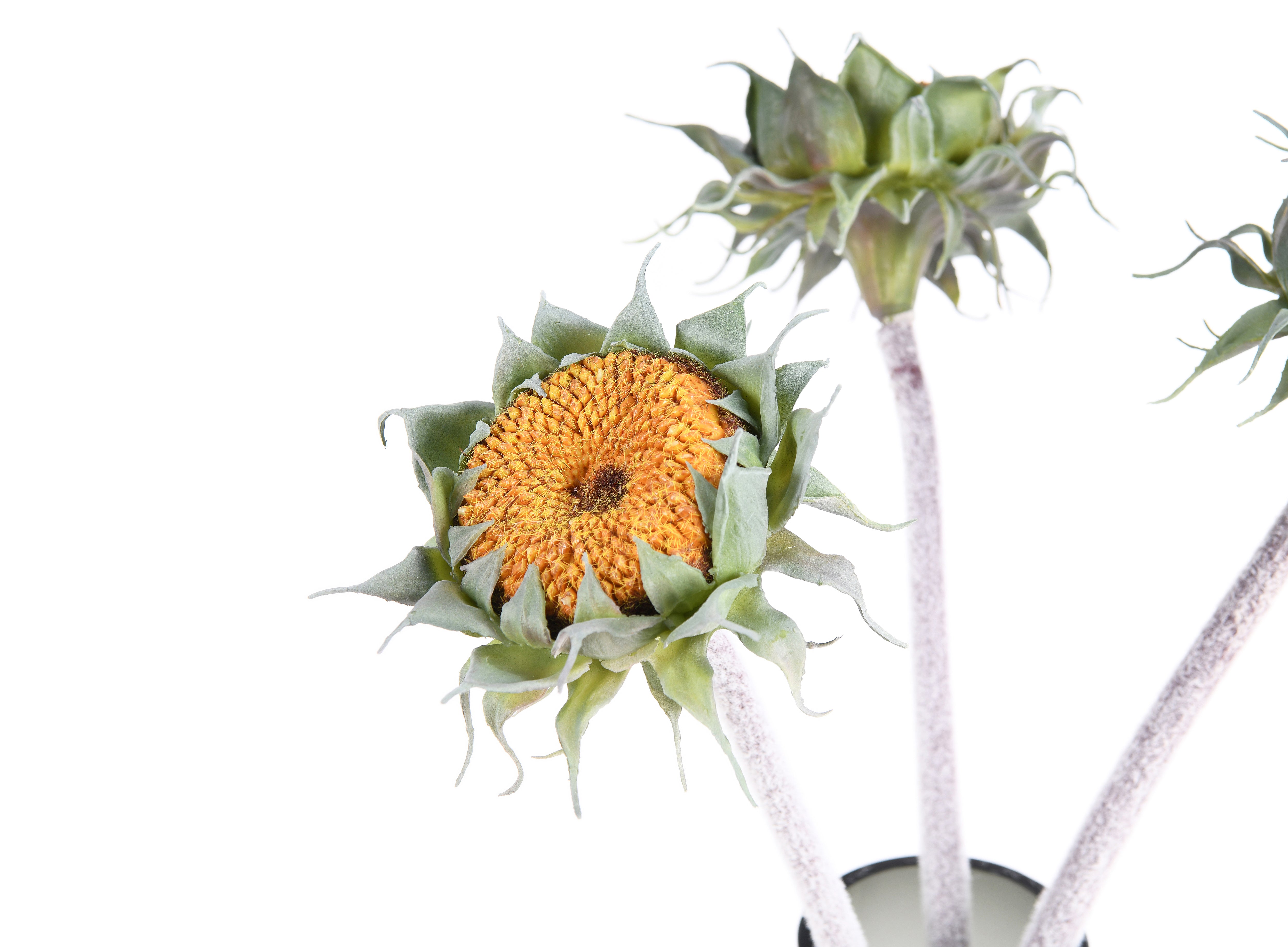 Teddy Bear Sunflower. 59 cm