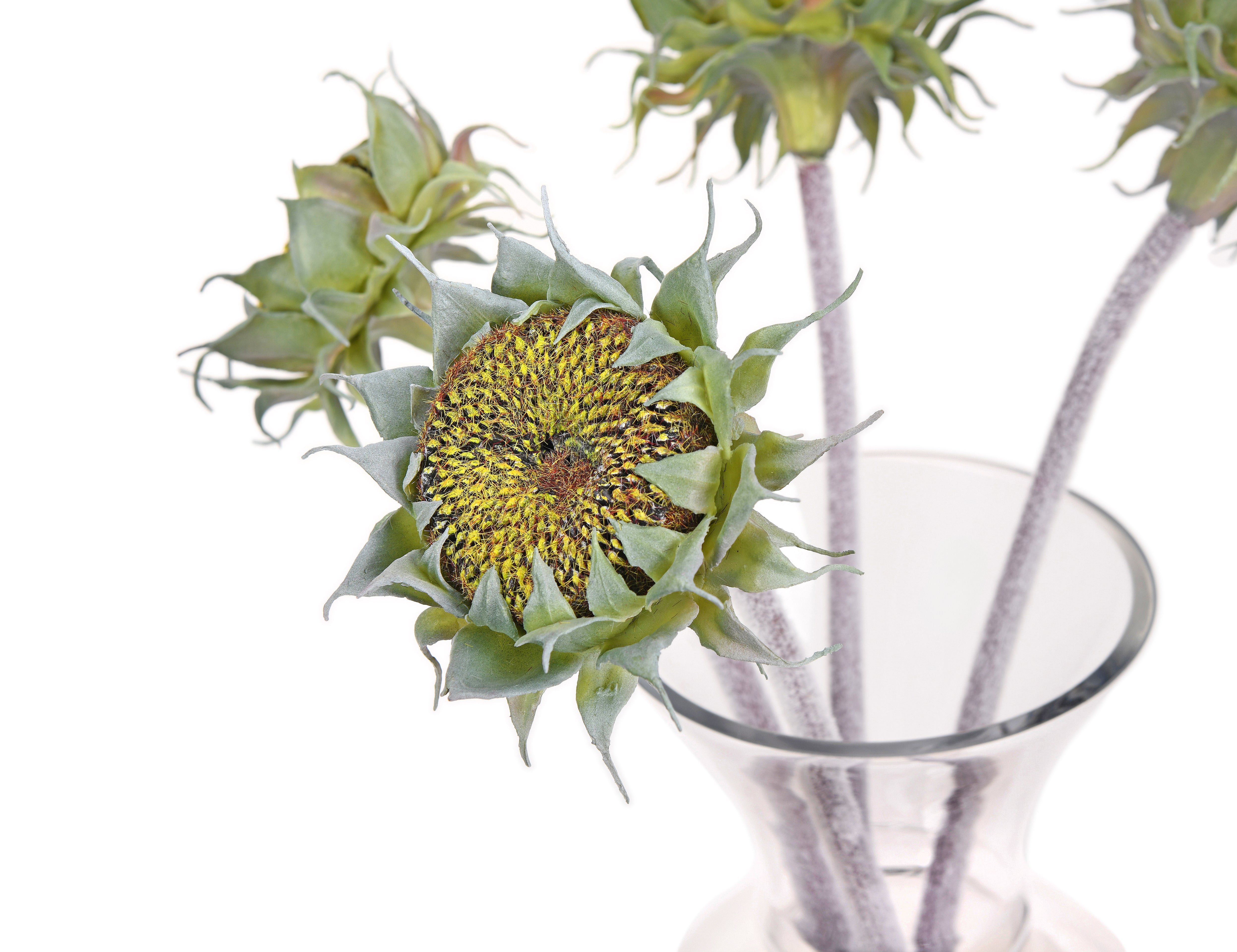 Teddy Bear Sunflower. 59 cm