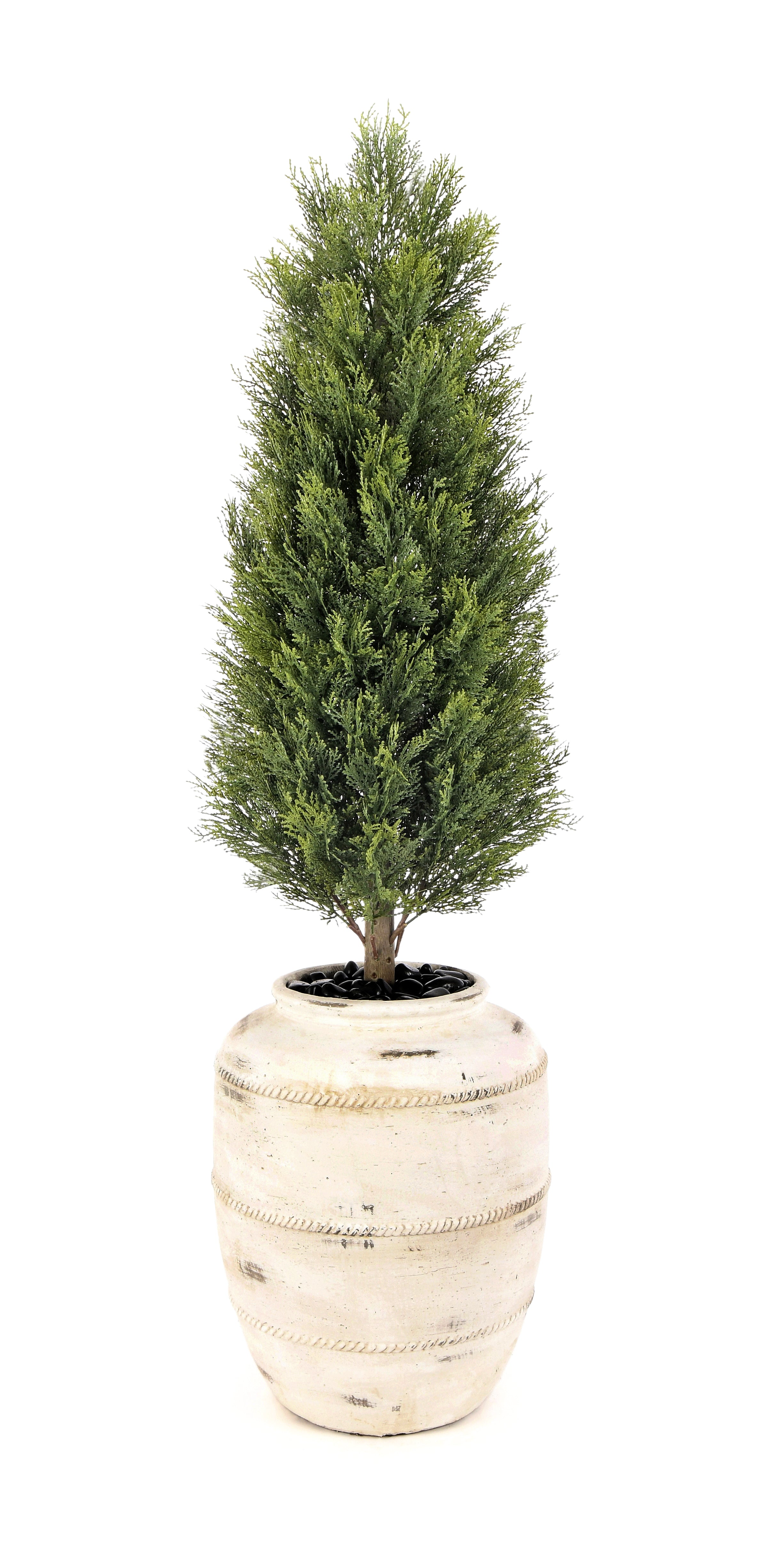 Cypress Tree. 120 cm