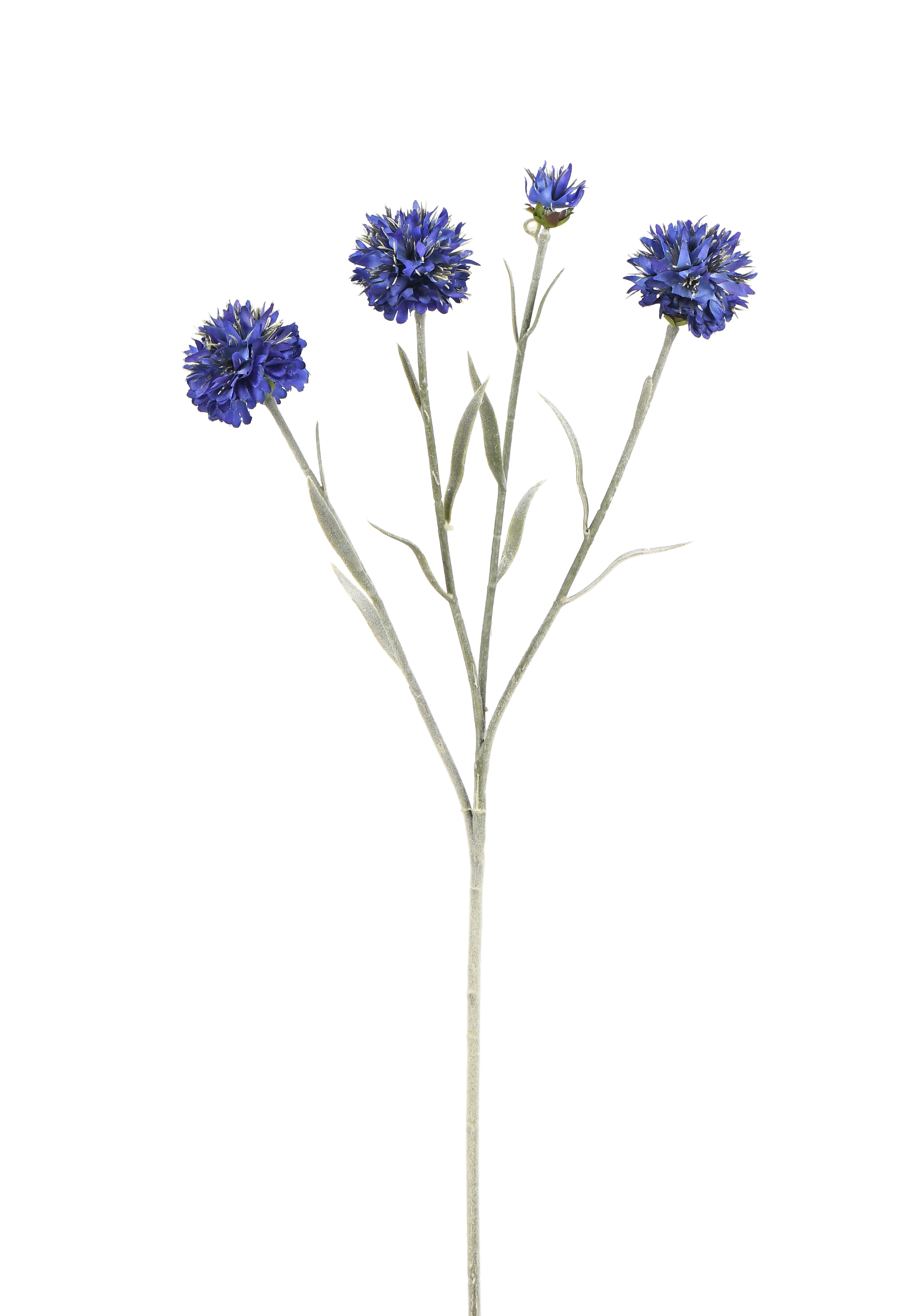 Lavender. 59 cm