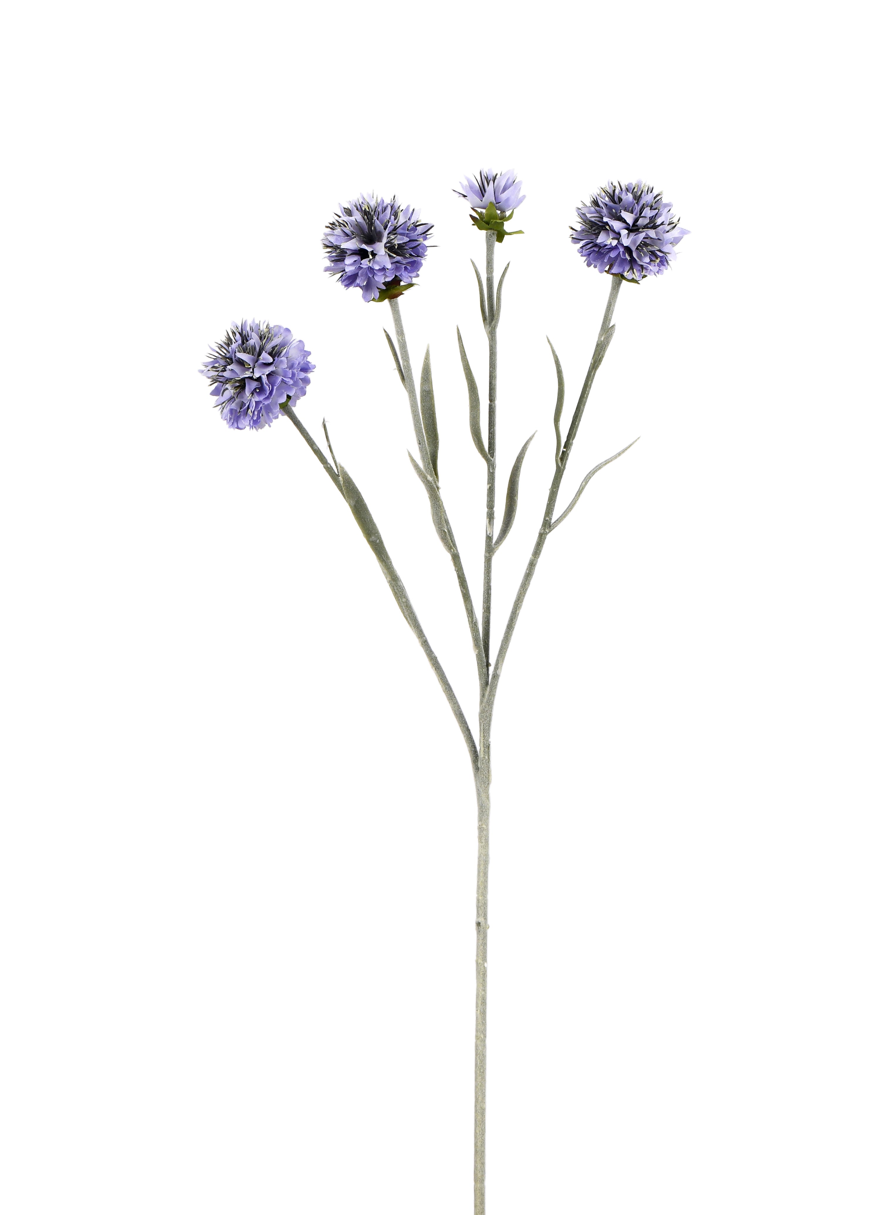 Lavender. 59 cm