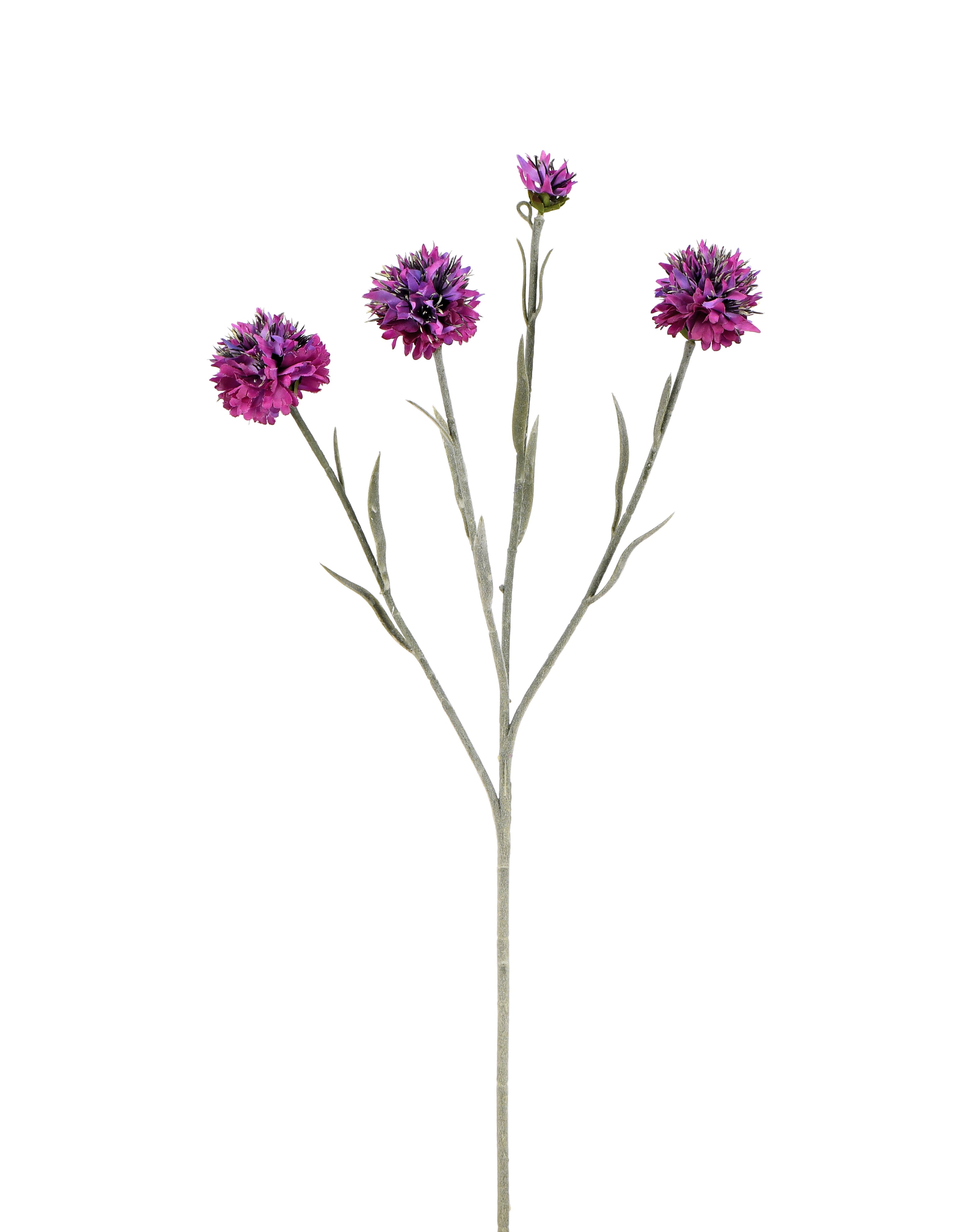 Lavender. 59 cm