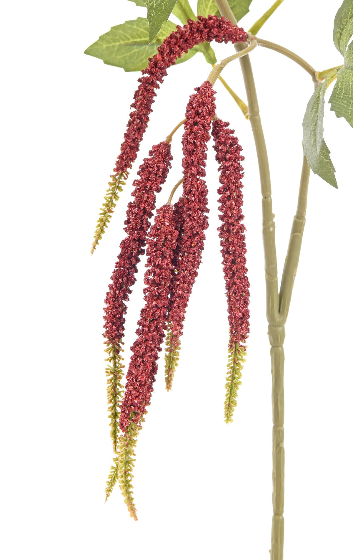Amaranth. 91 cm