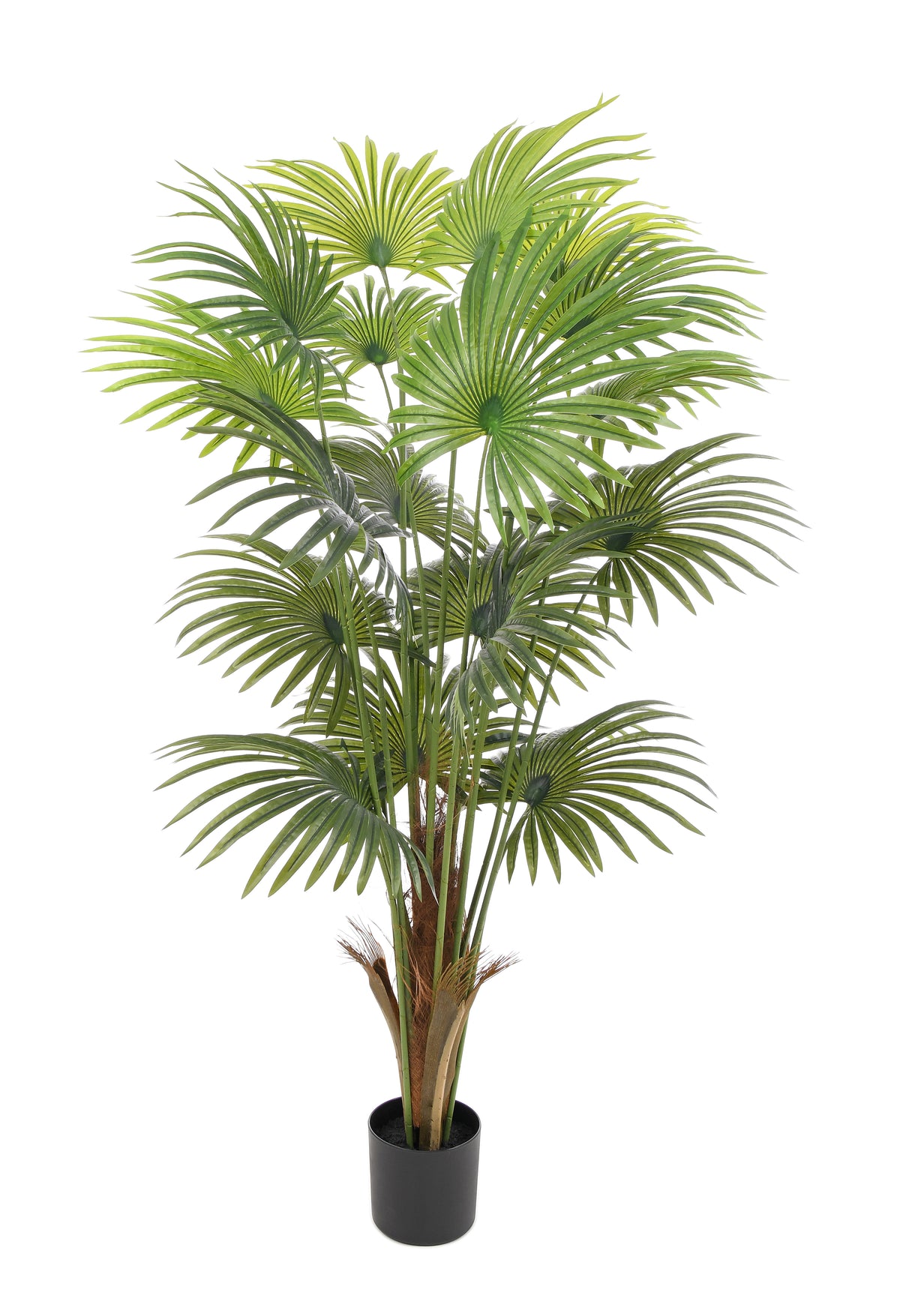 PALM TREE. 180 cm. Real touch