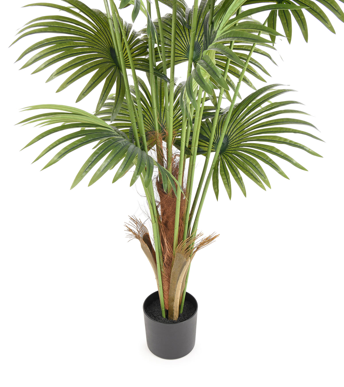 PALM TREE. 180 cm. Real touch