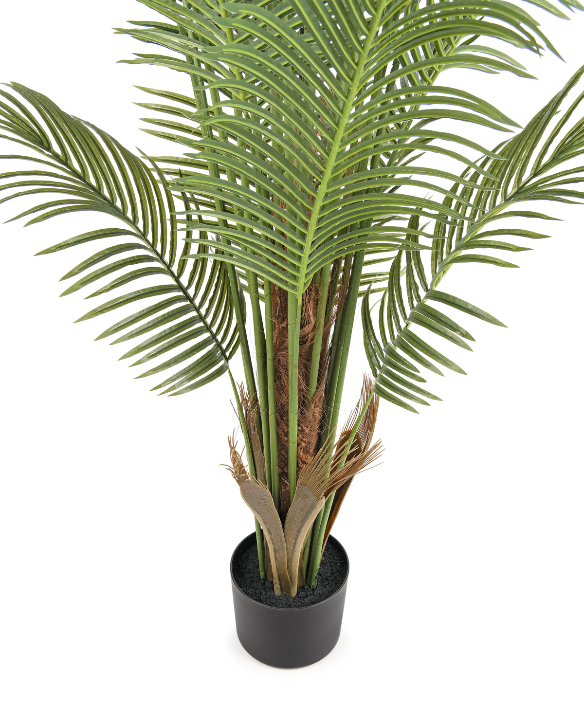 PALM TREE. 250 cm. Real touch