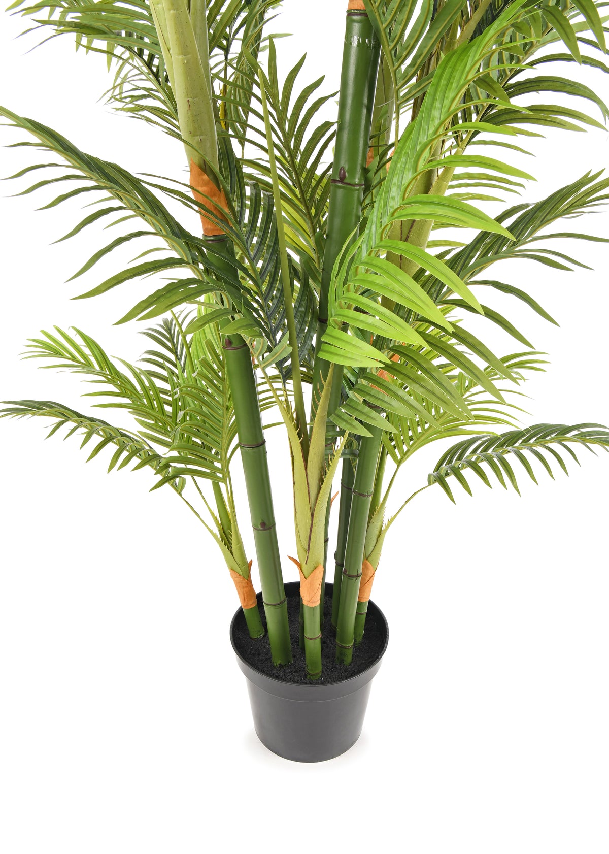PALM TREE. 250 cm. Real touch