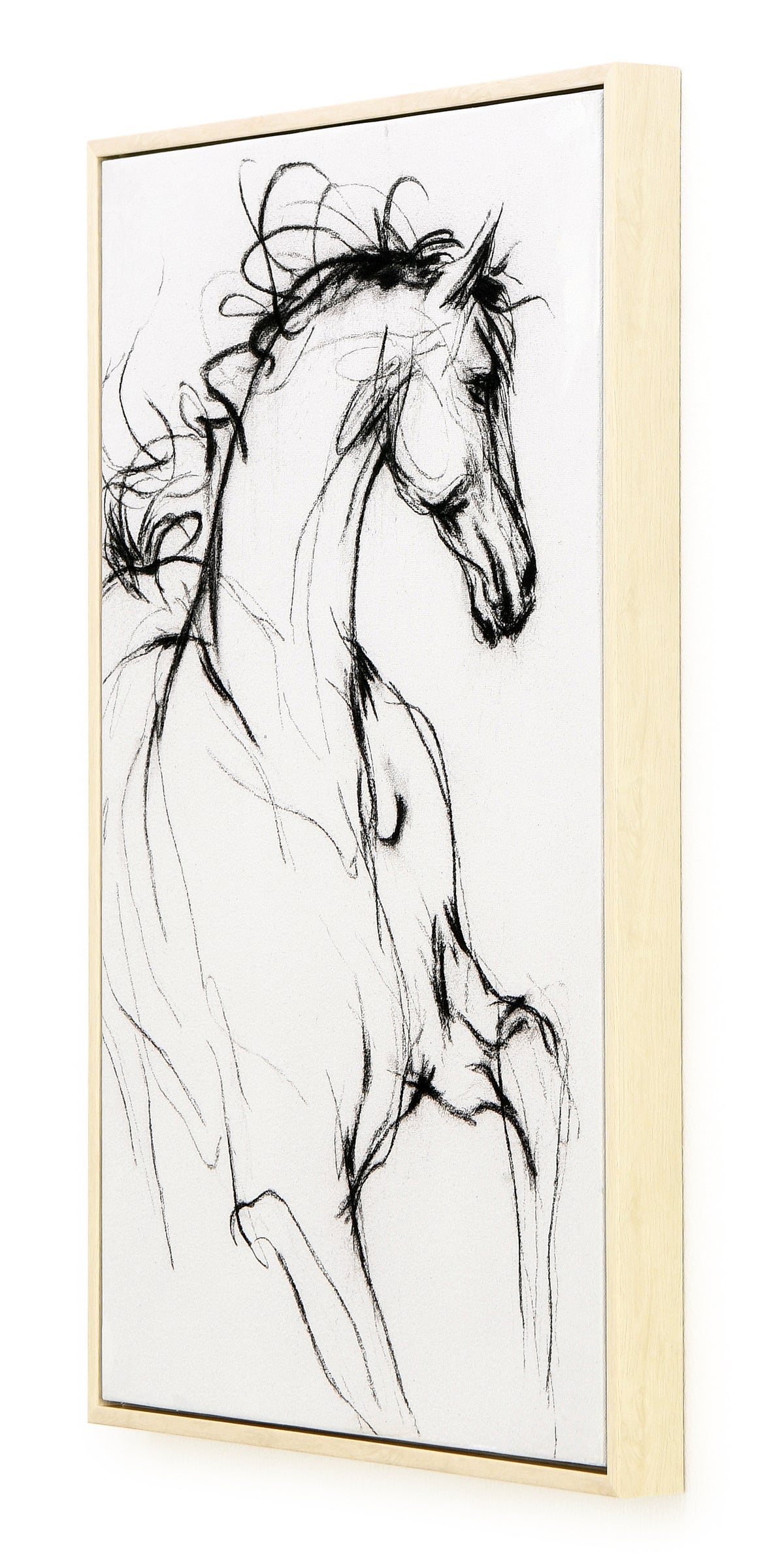 Capturing the Gallop. 43x63 cm.