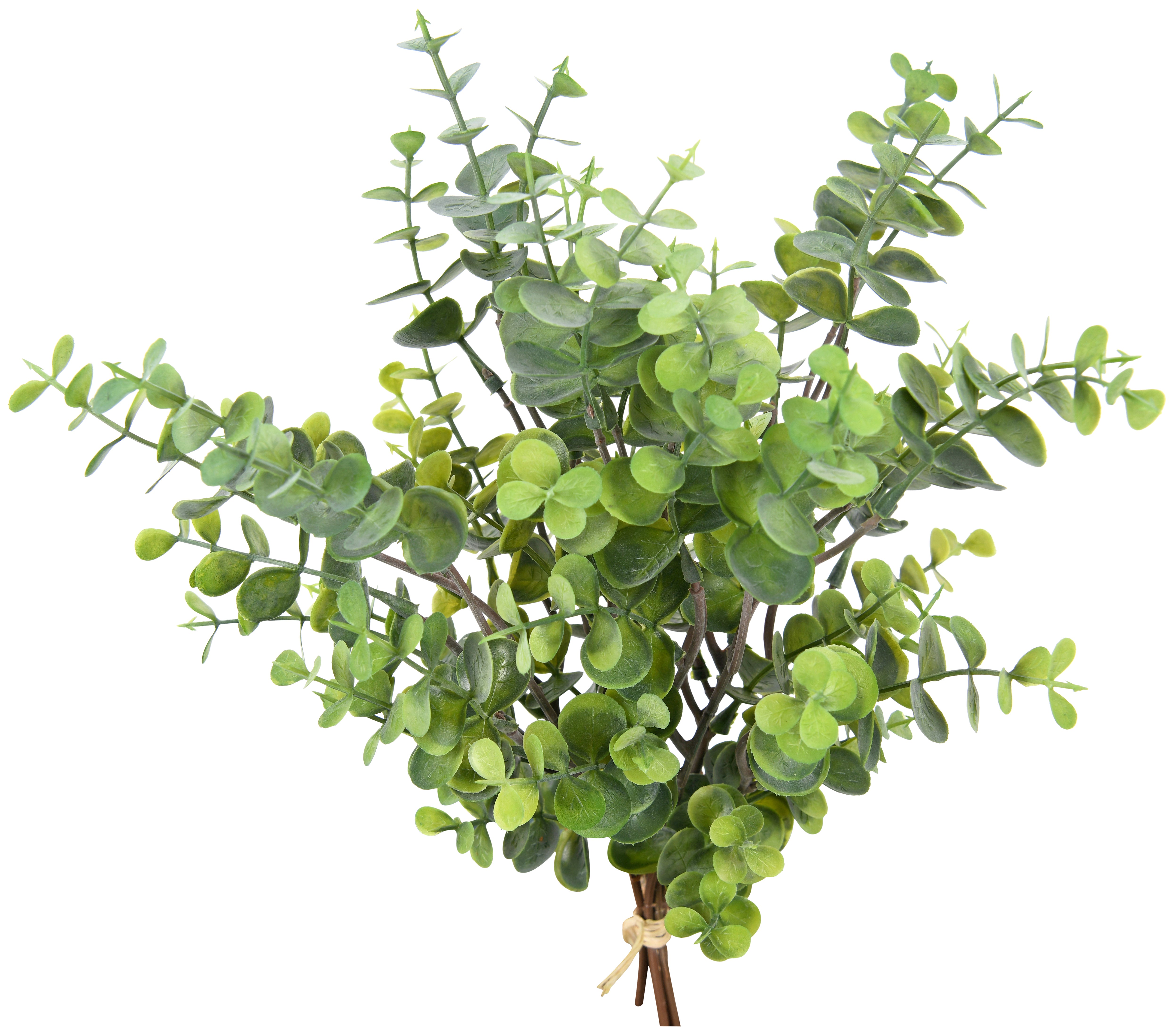 Bunch  of leaves. 38 cm