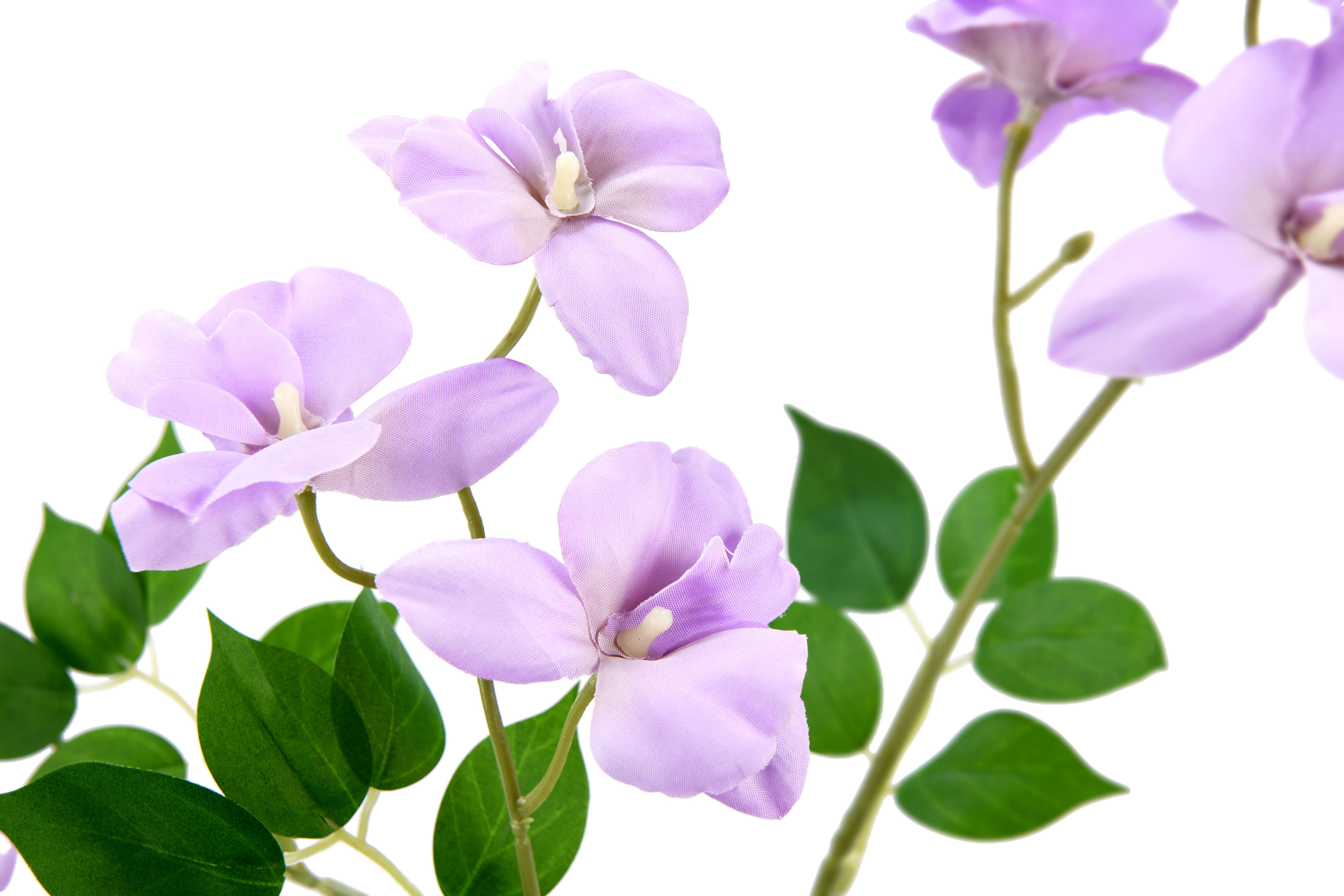 Lilac. 88 cm