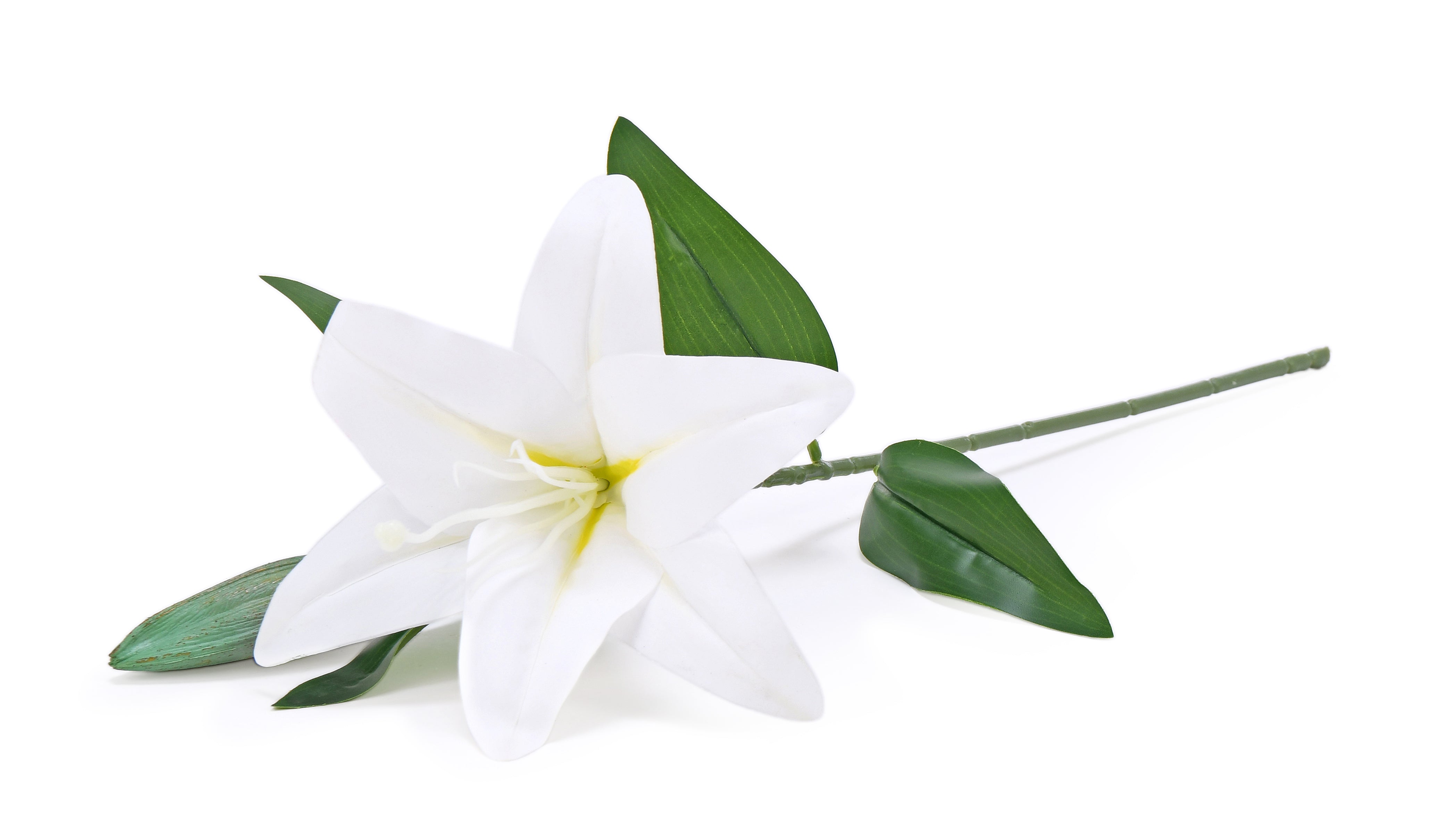 Lily. 51 cm