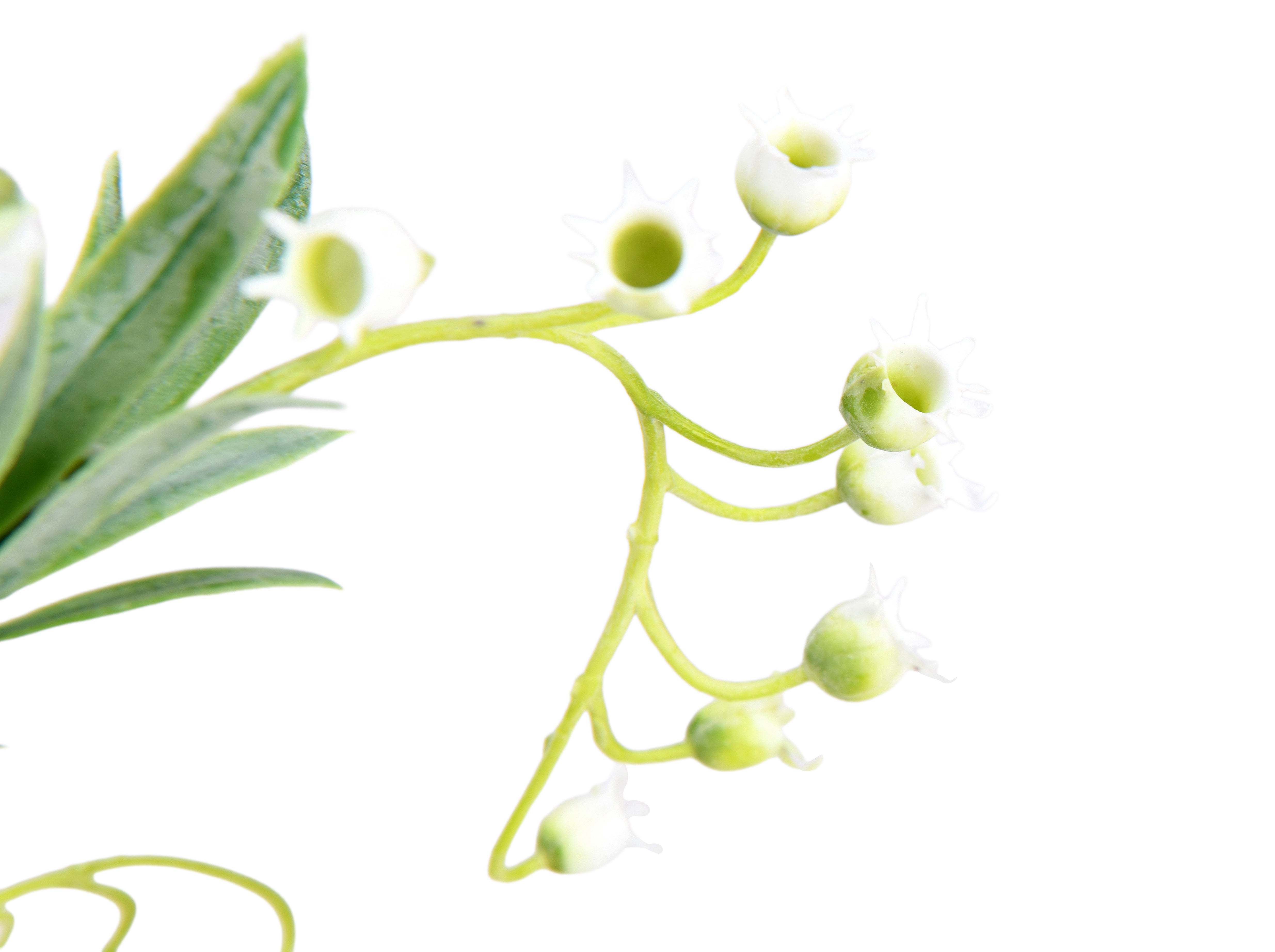 Lily of the valley. 75 cm