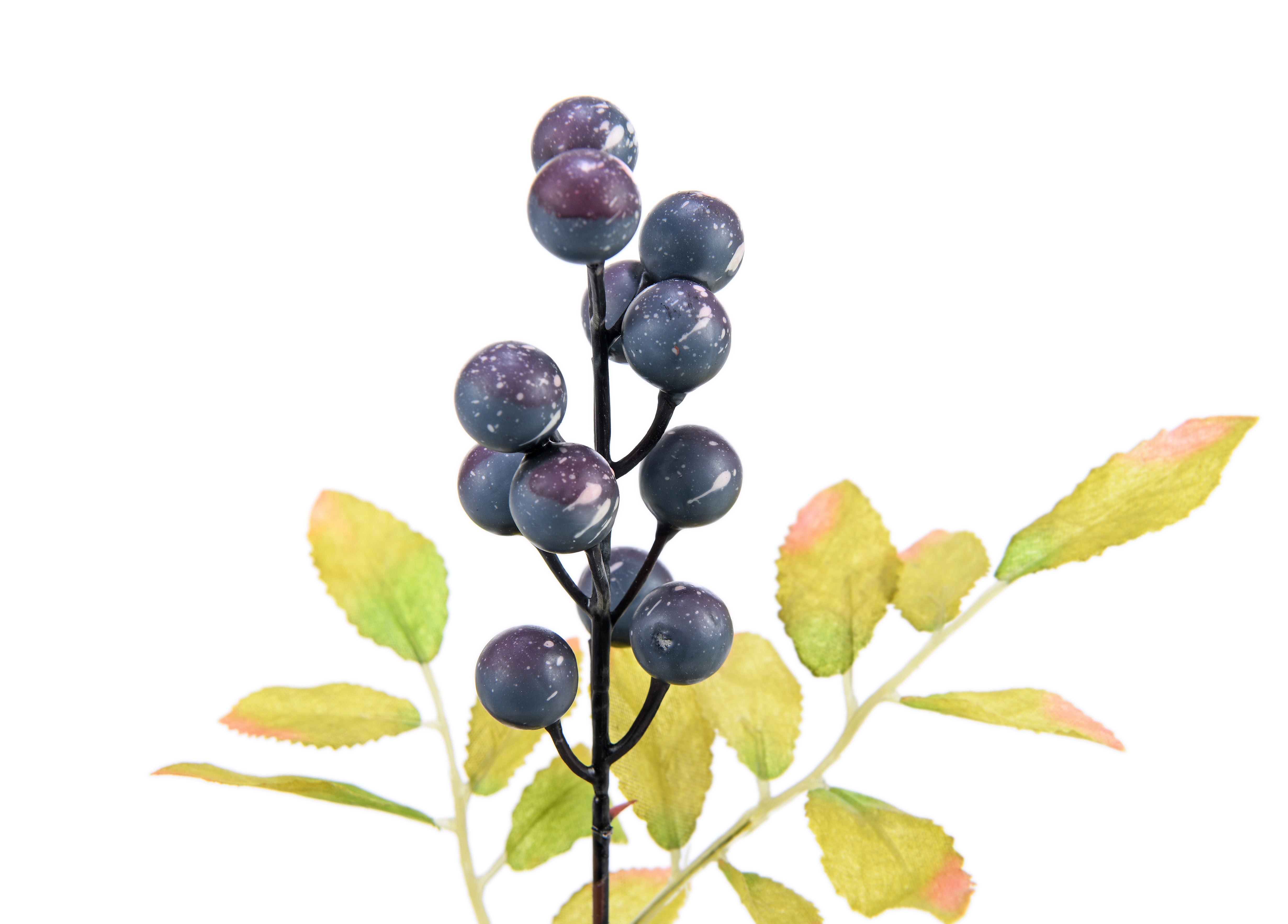 Berries. 31 cm
