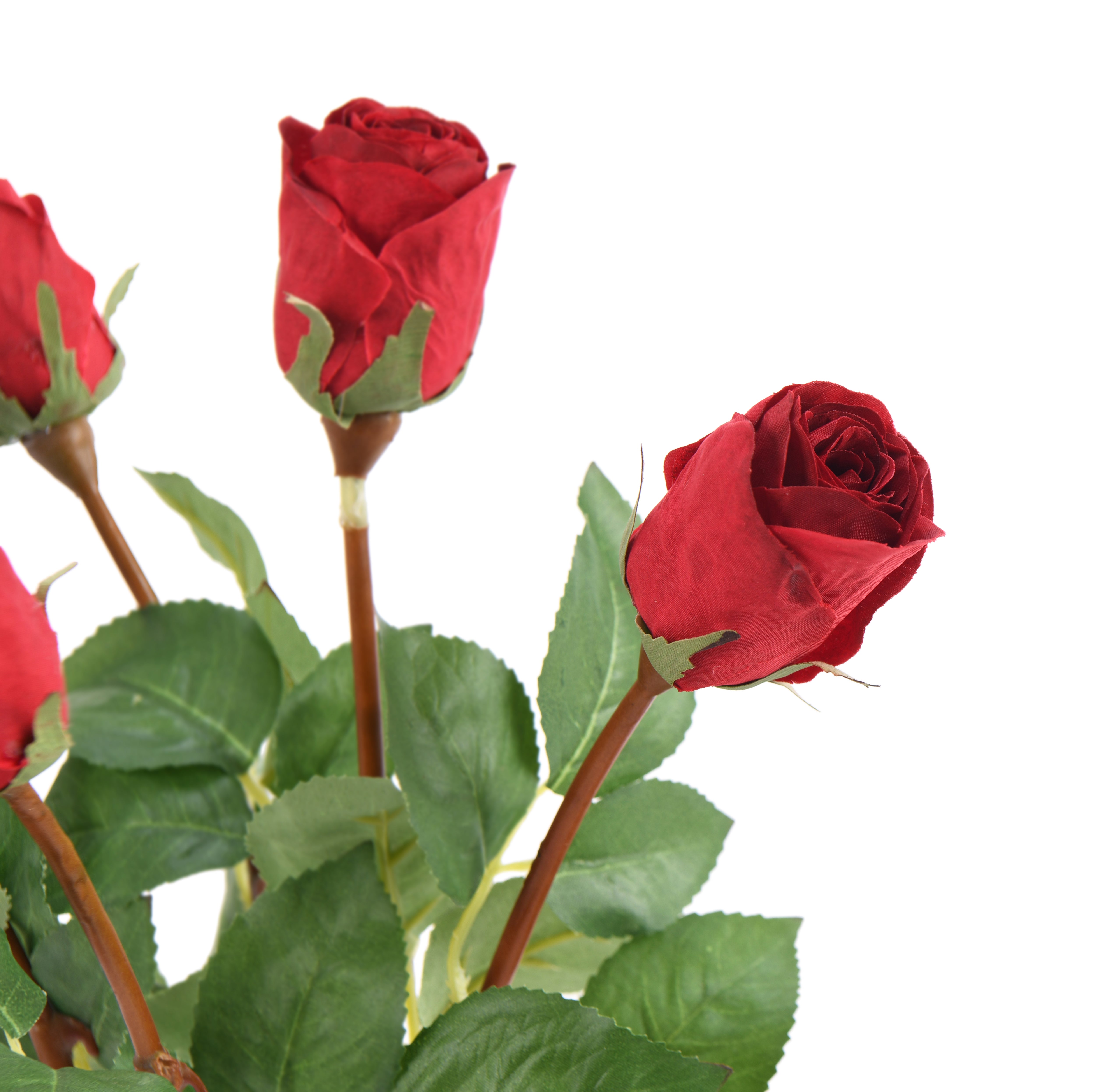 Rose. 51 cm