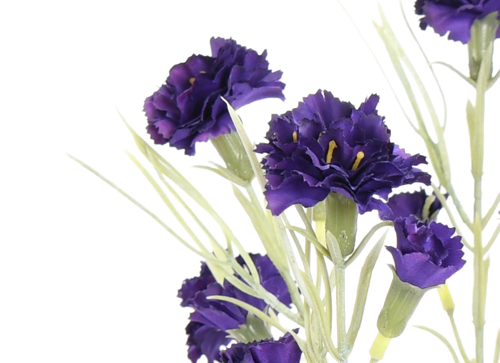 Carnation. 63 cm