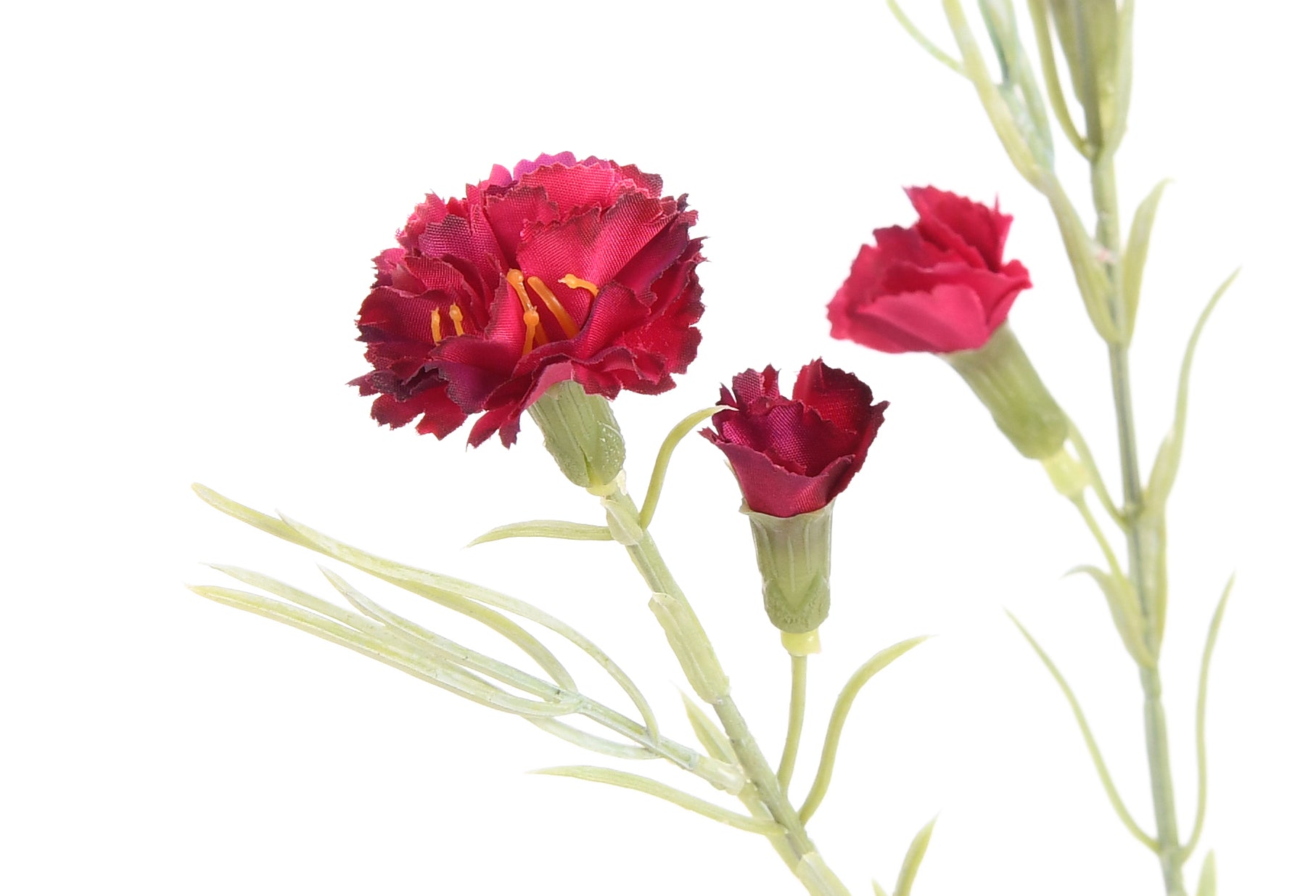 Carnation. 63 cm