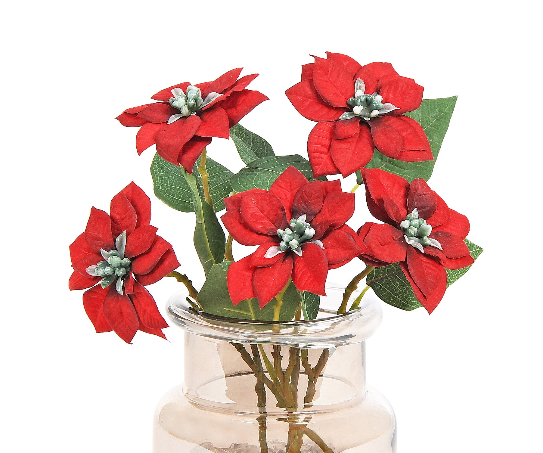 Bouquet of Poinsettia. 30 cm