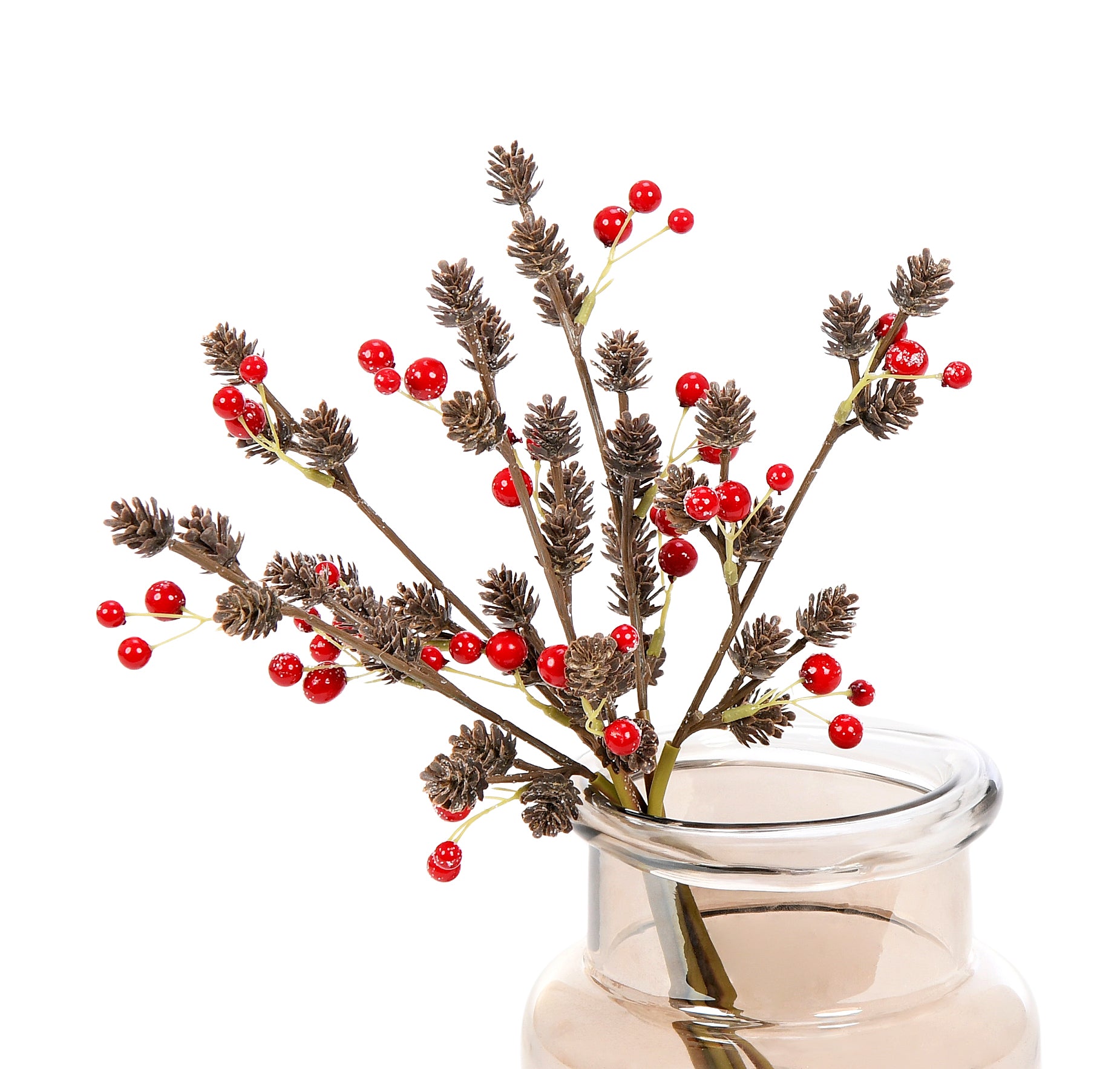 Bunch of Berries with Cone