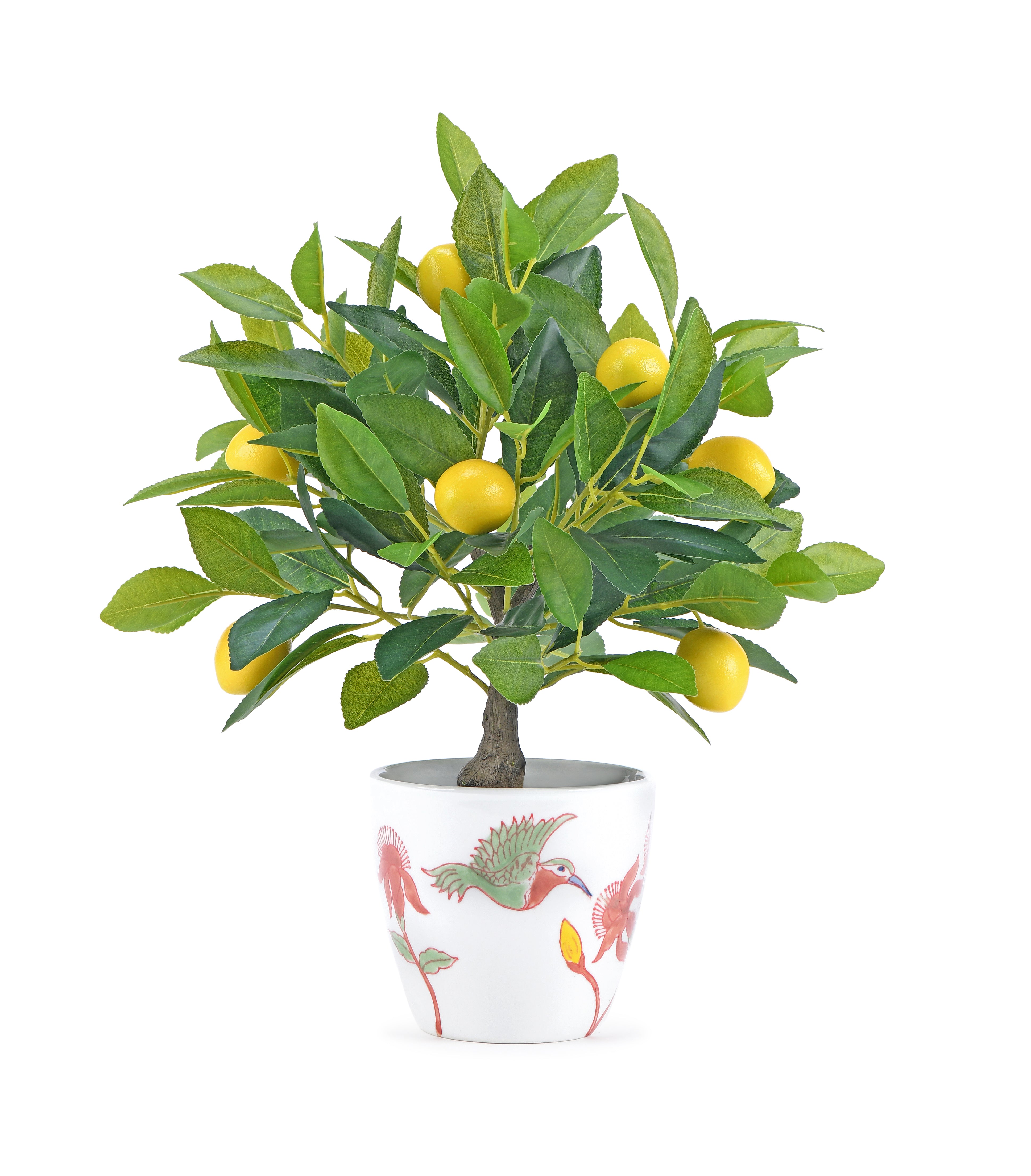 Lemon Tree. 40 cm