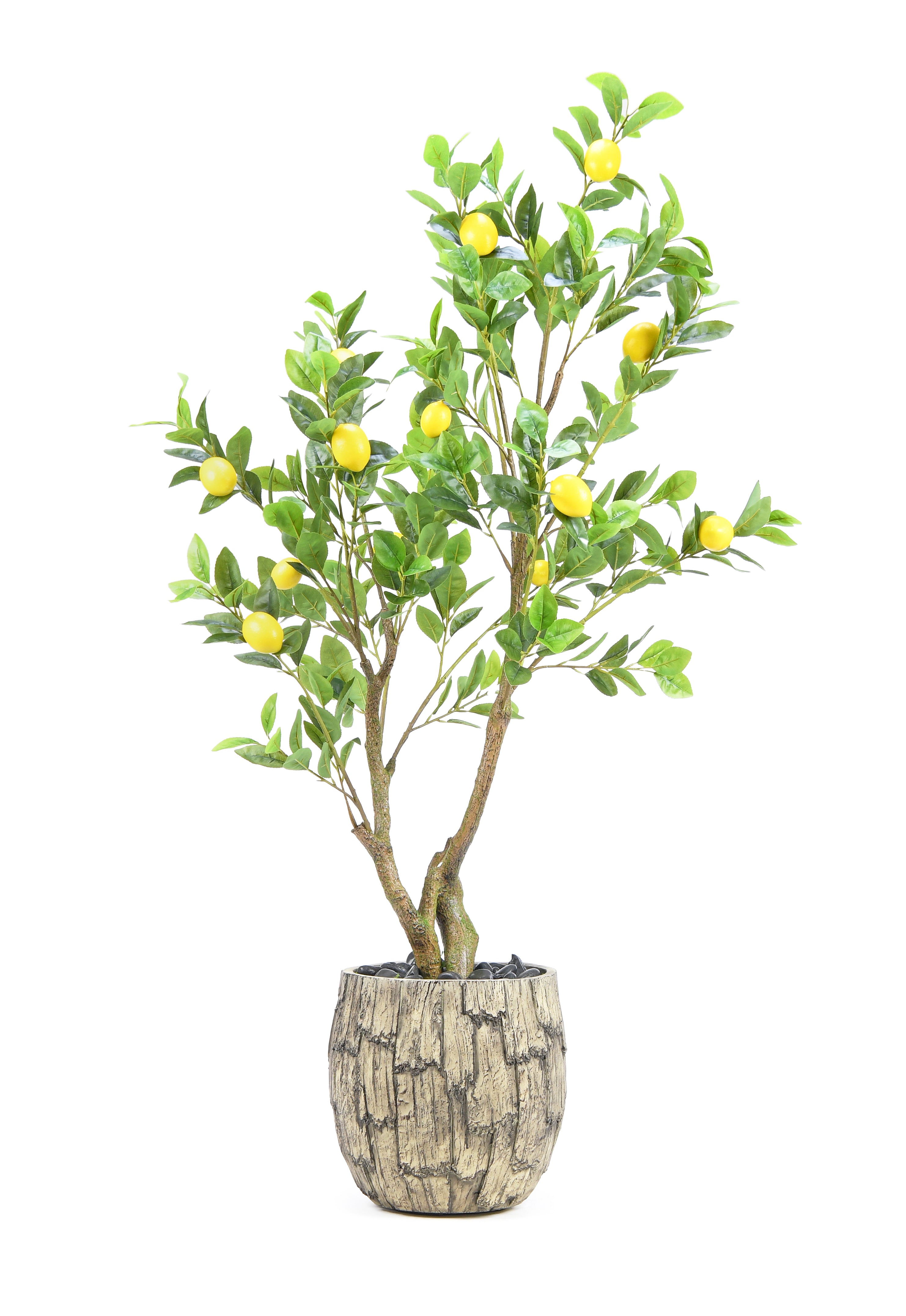 Lemon Tree. 140 cm