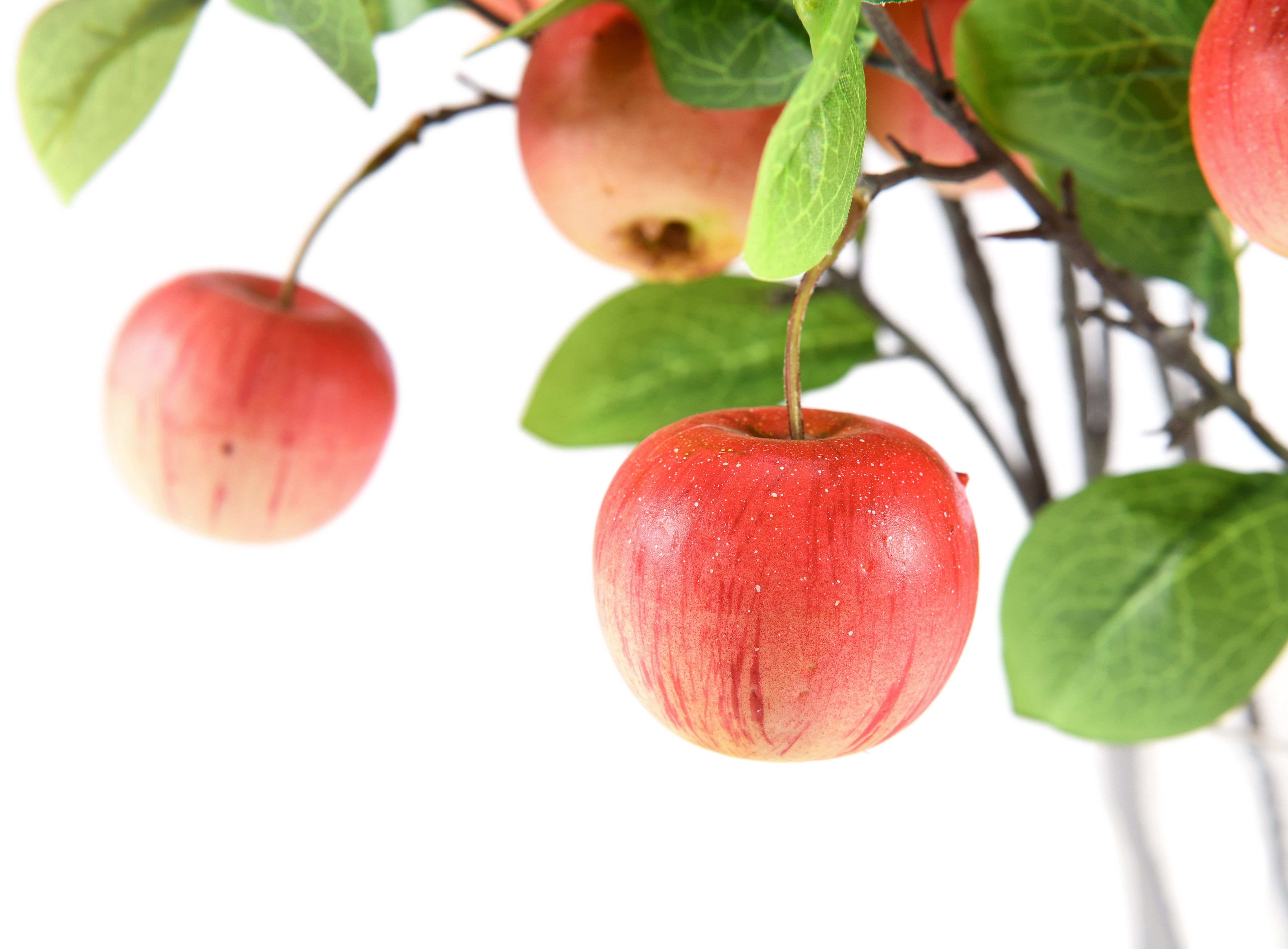 Apple Branche. 88 cm