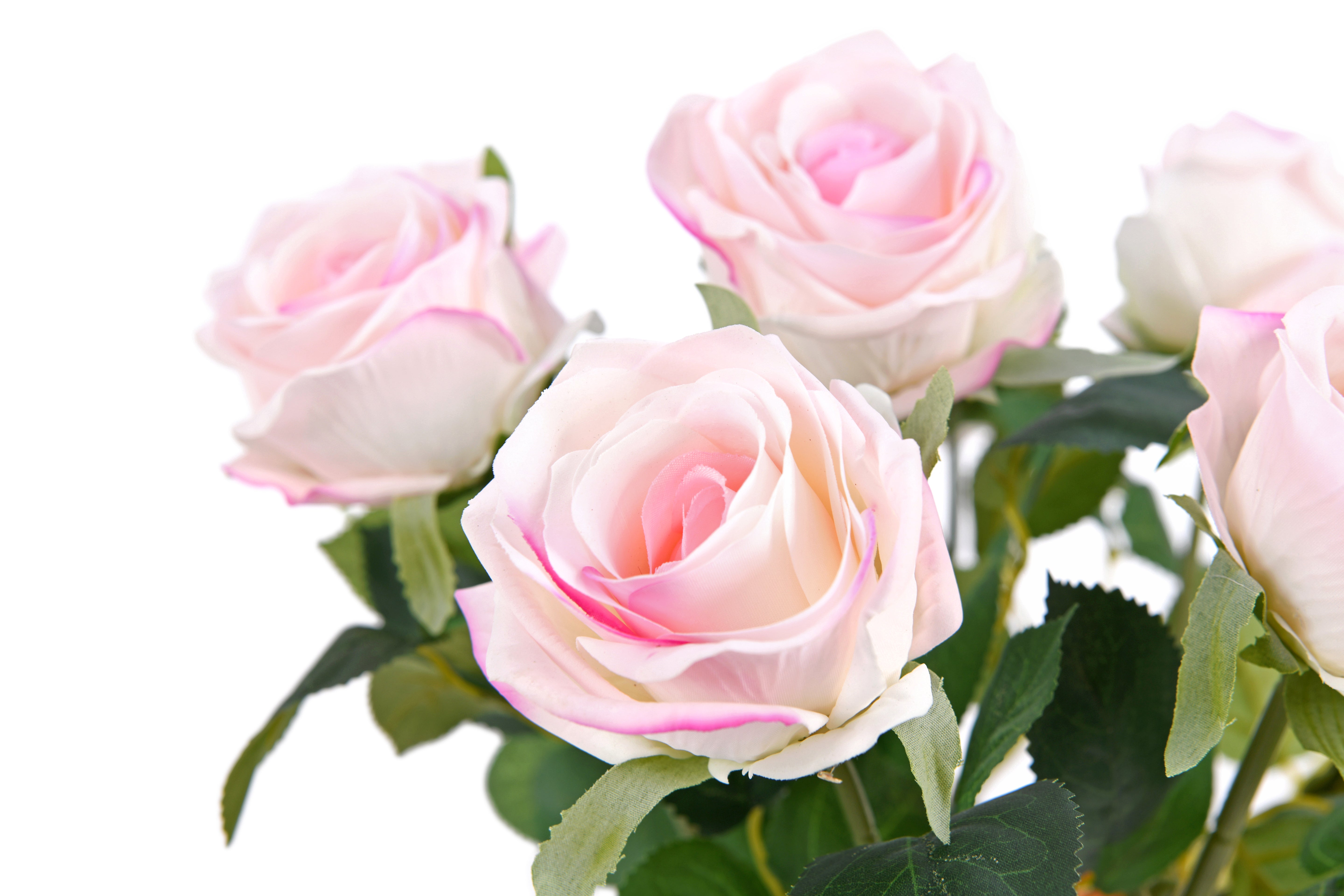 Rose. Real Touch. 42 cm