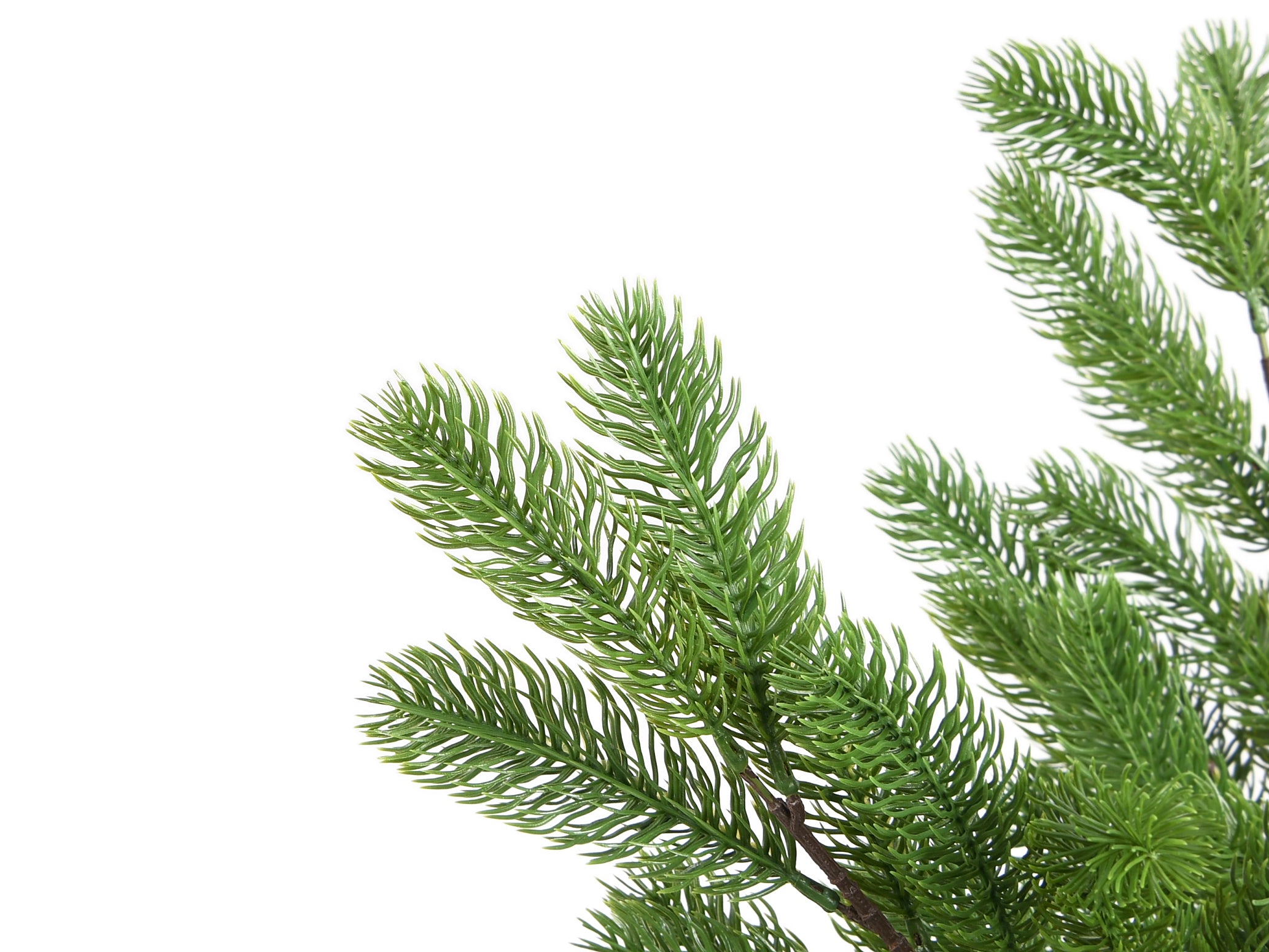 Fir Branch. 68 cm