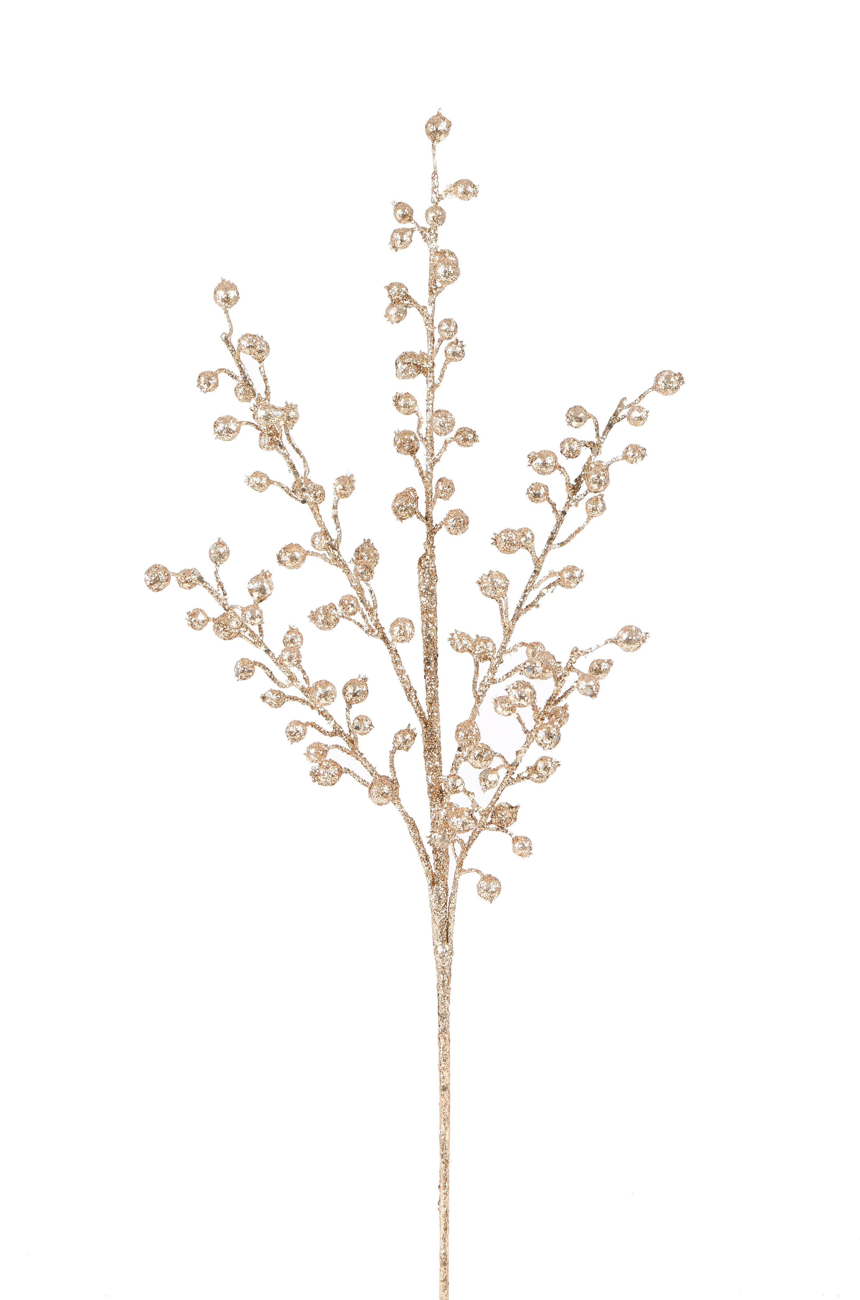 Berry Branch. 79 cm