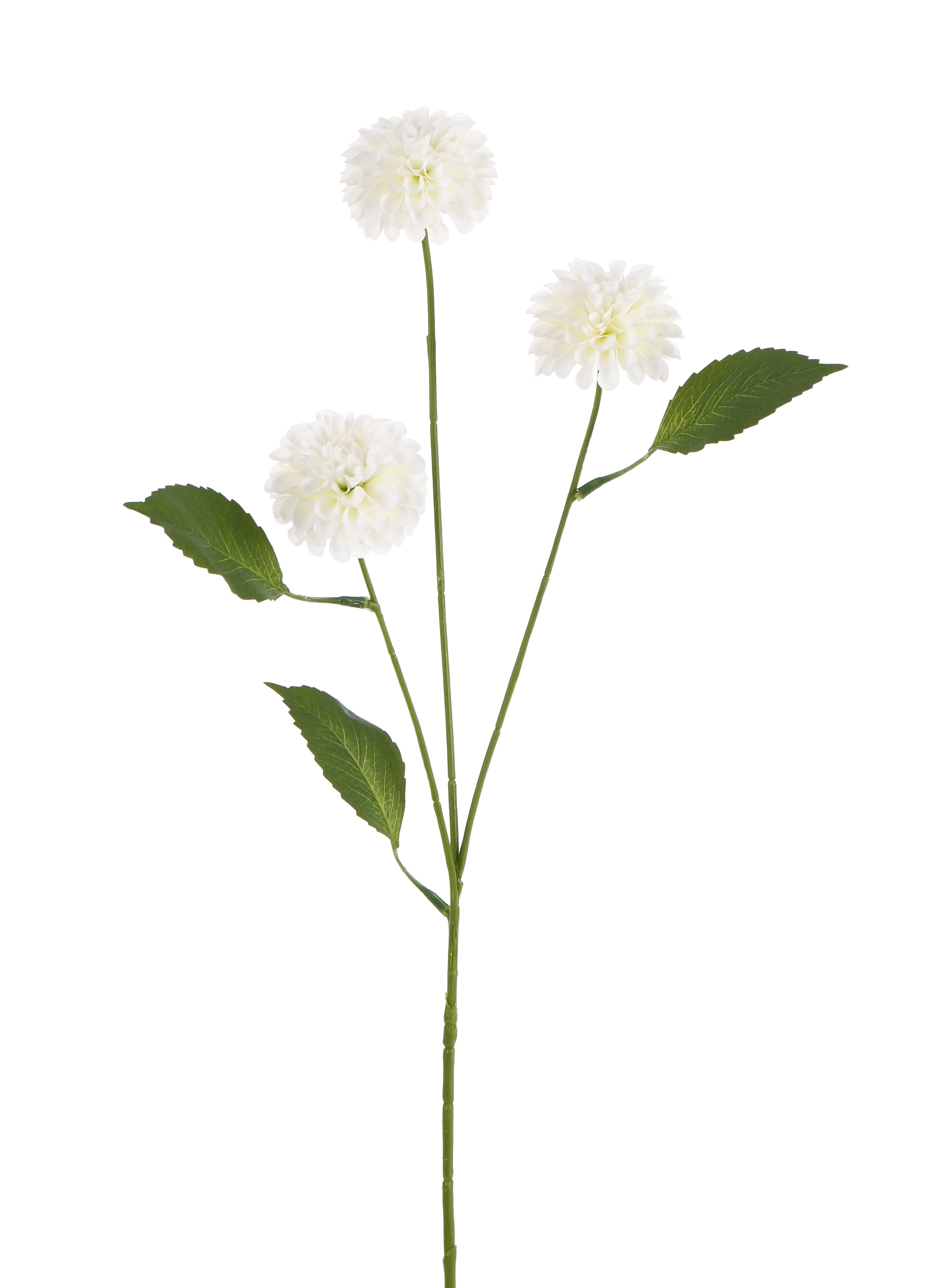 Dahlia. 3 Mini Heads. 68 cm