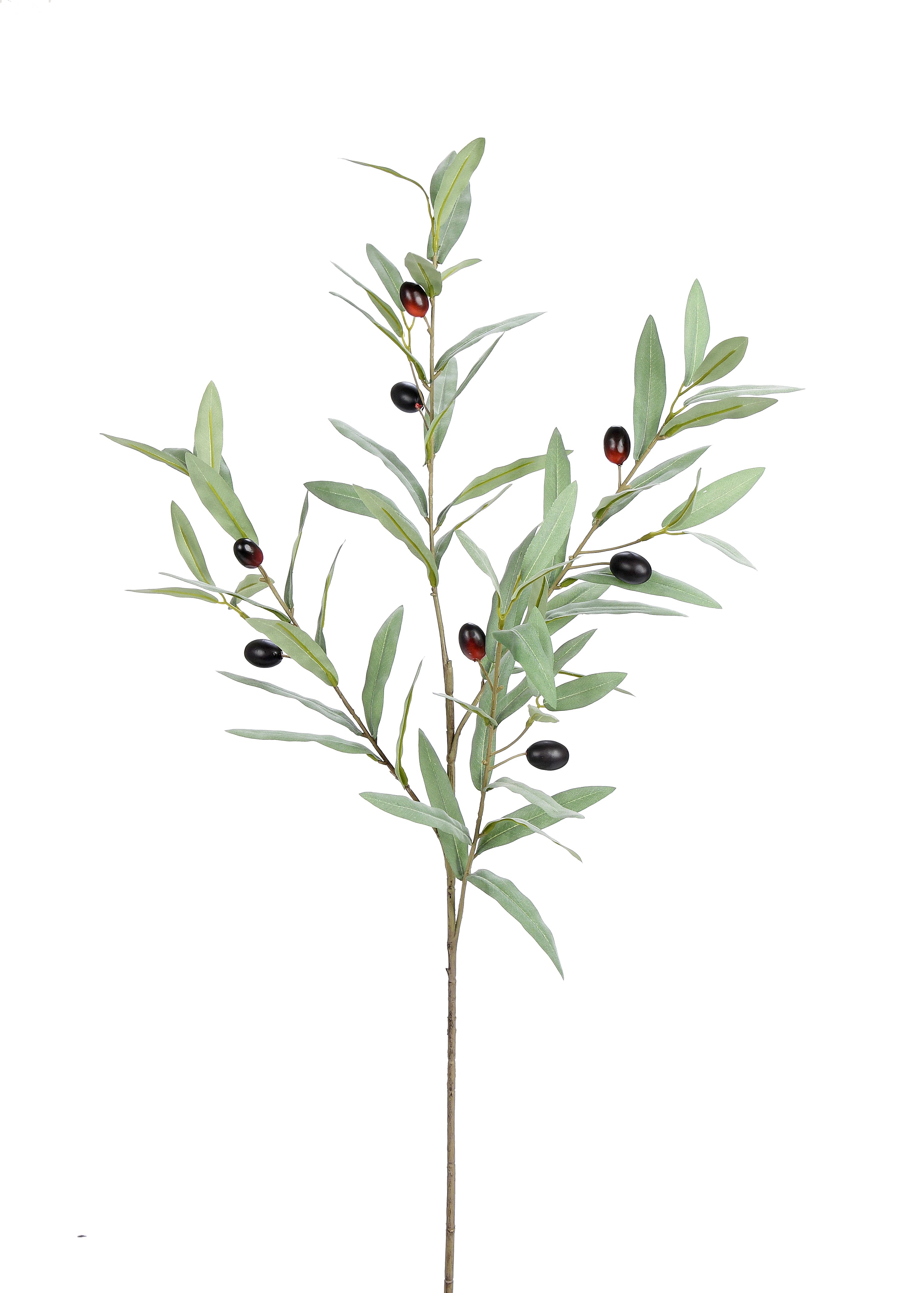 Olive Branch. 95 cm