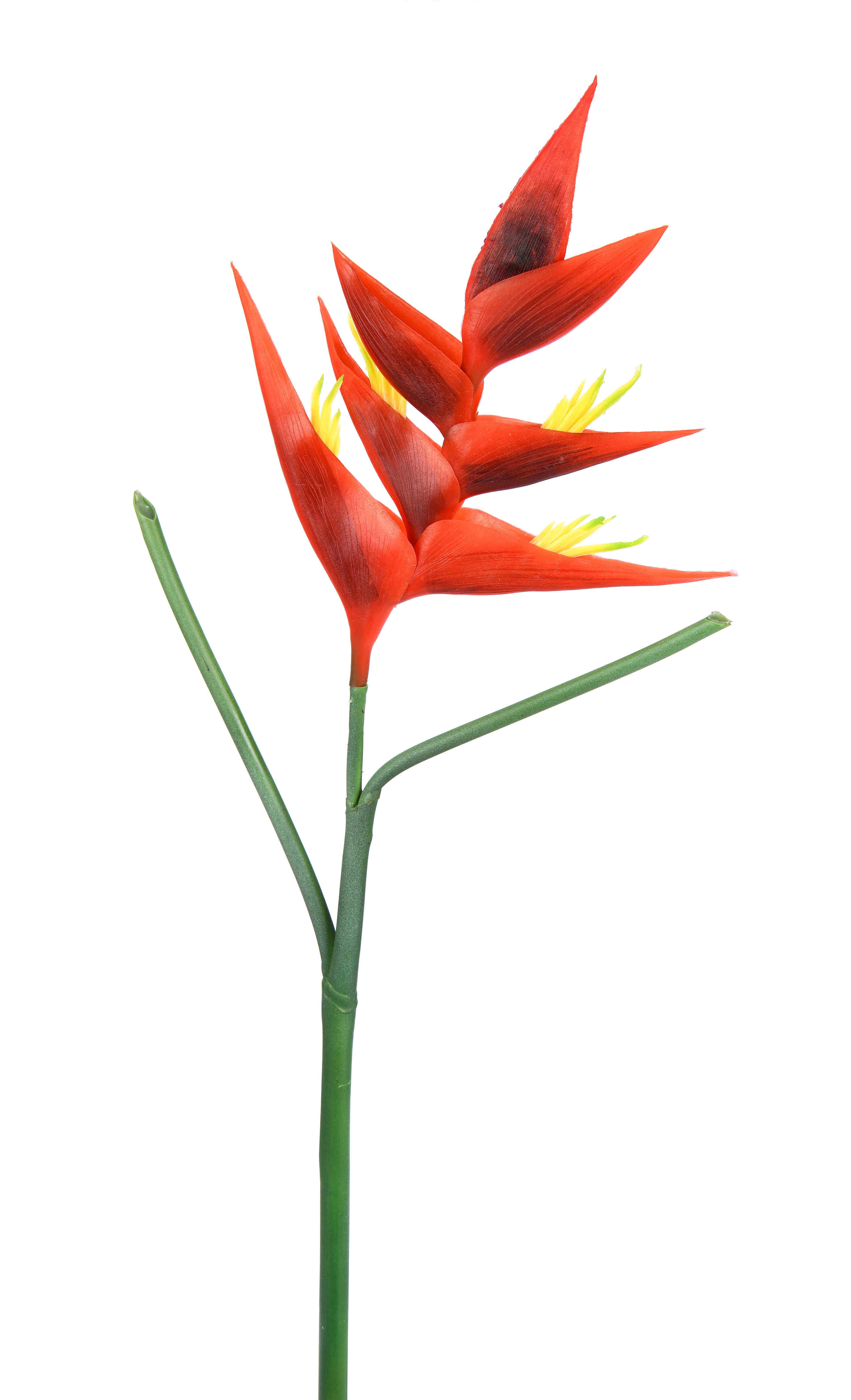 Lobster-claws. 86 cm